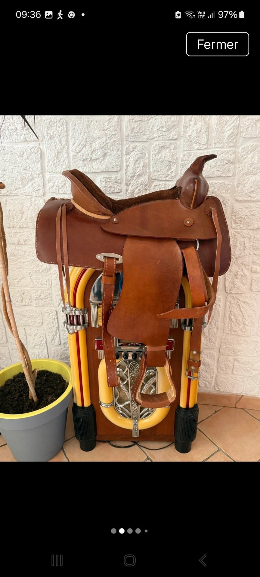 Selle western, média 2