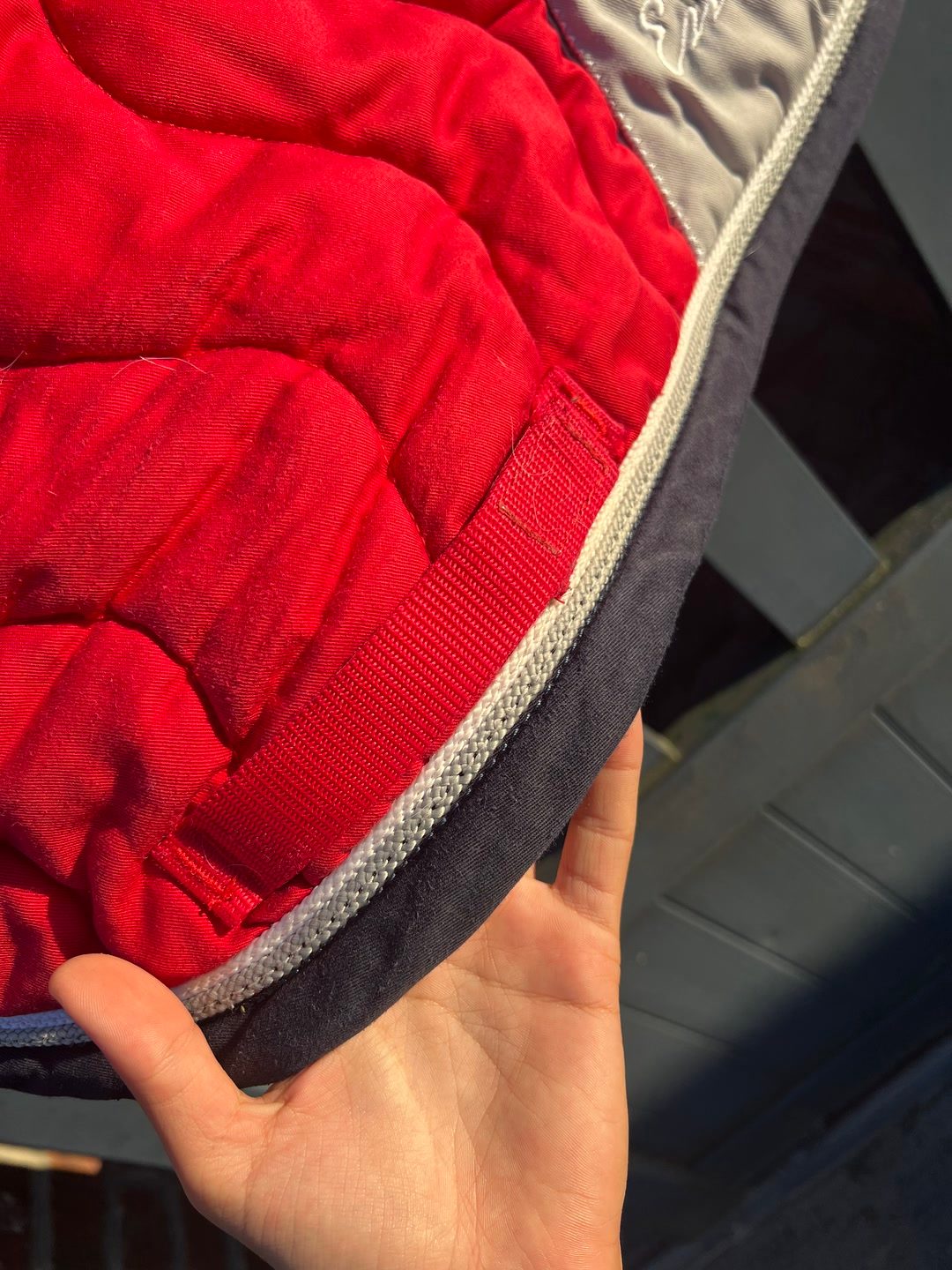tapis de selle rouge, média 6