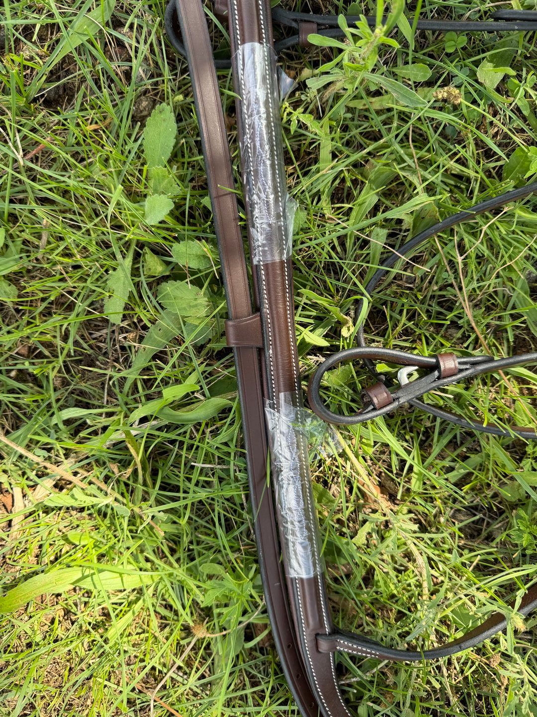 Bridon Emporio Equipe, média 4