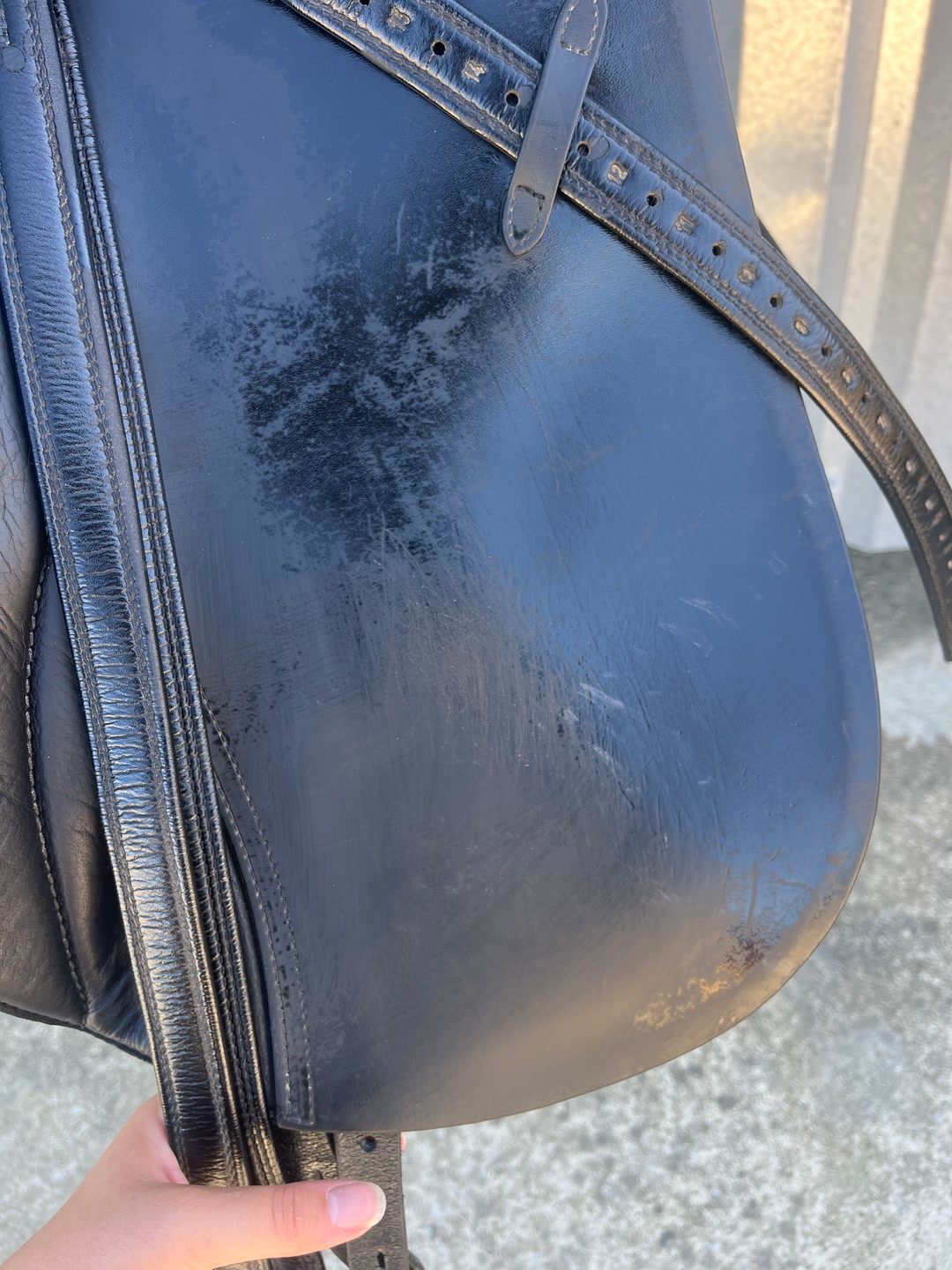 Selle de dressage, média 10