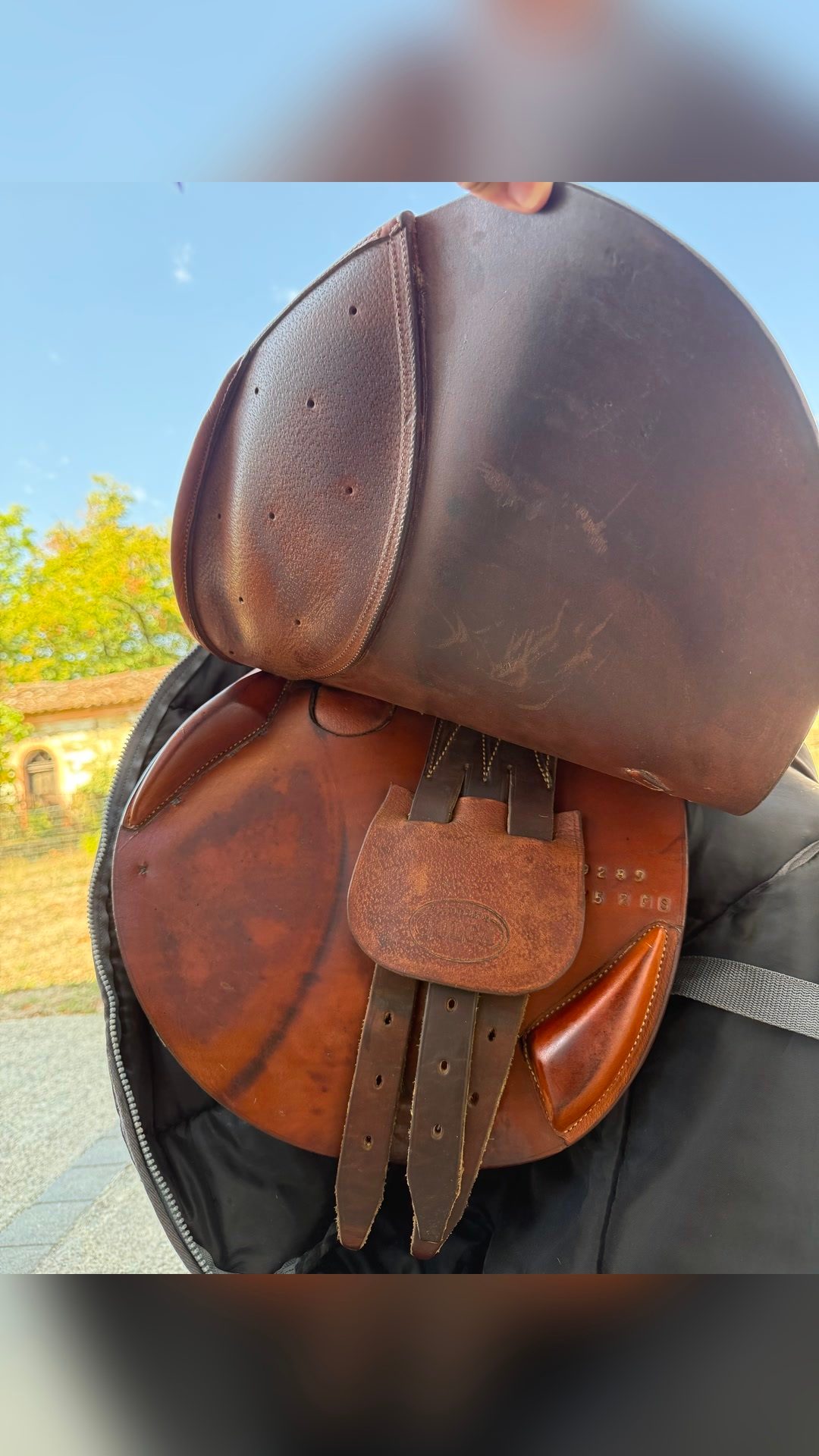 Selle, média 5