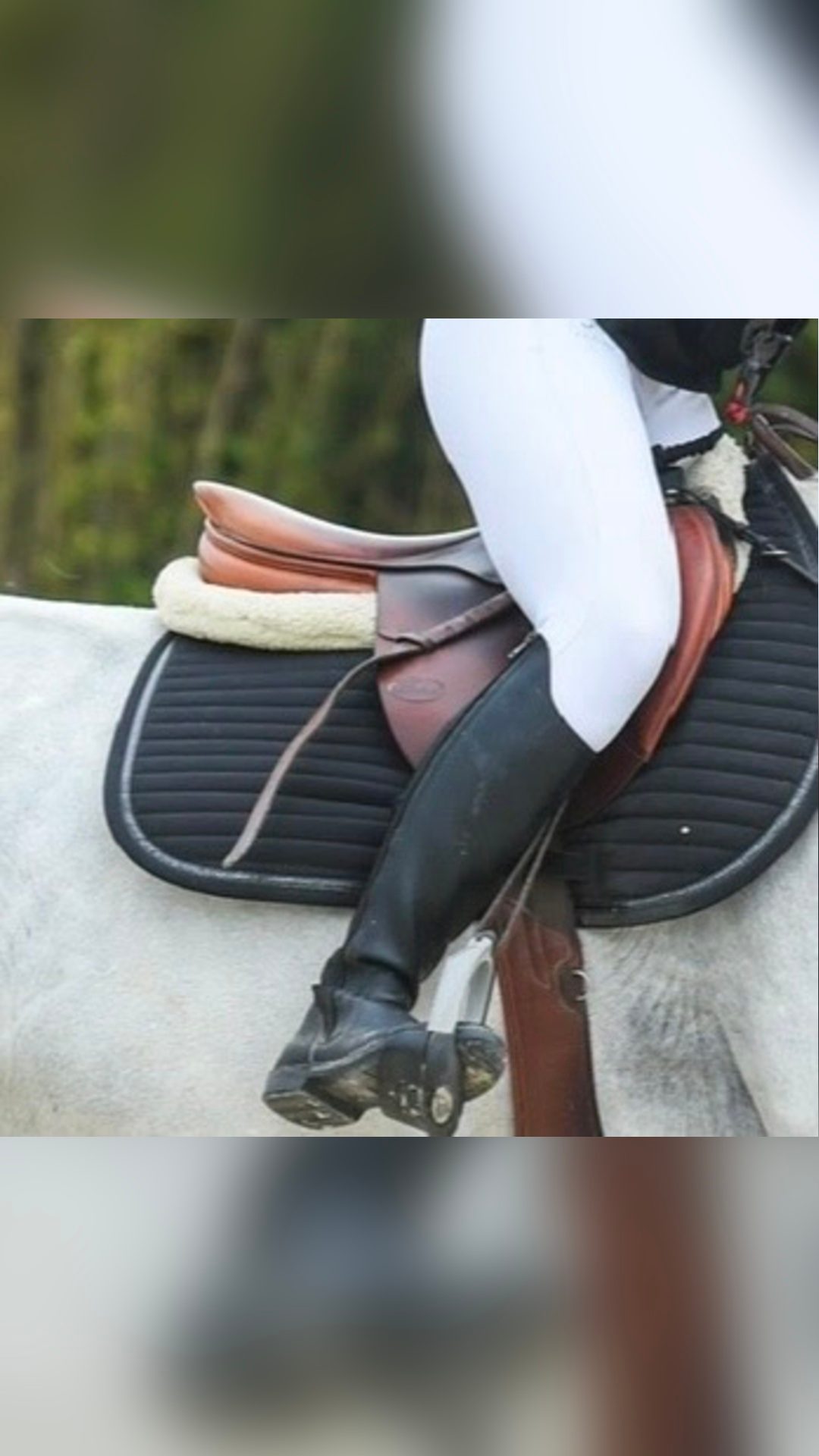Selle, média 8