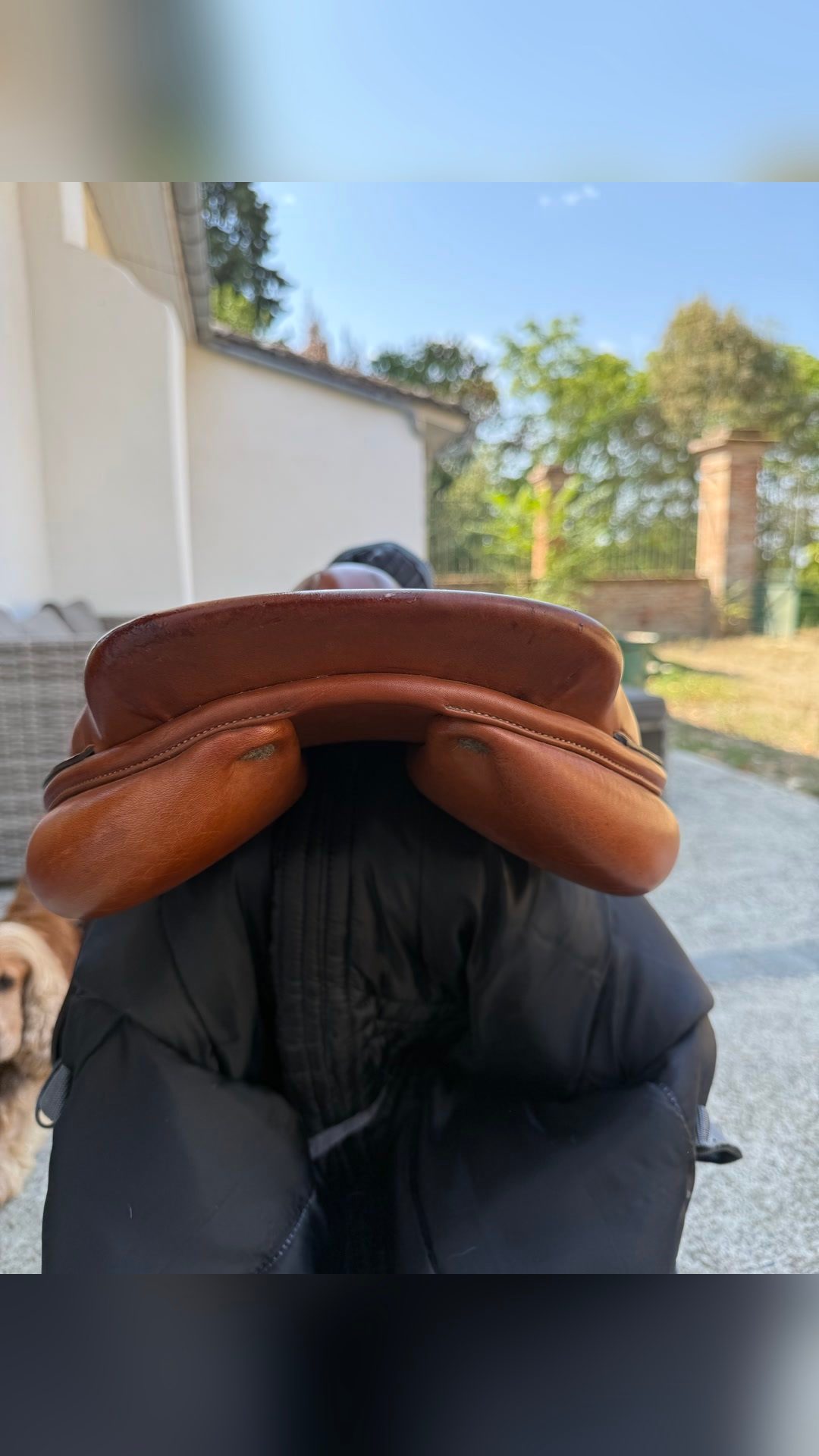 Selle, média 6