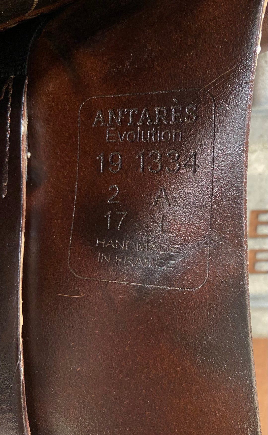 Selle Antares Evolution, 17”, 2019, média 4