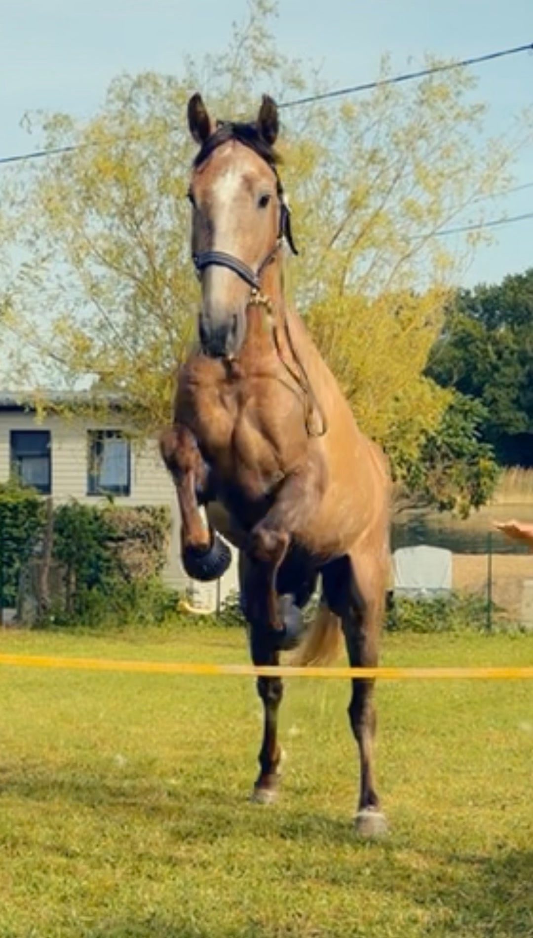 JAÏRO, média 5