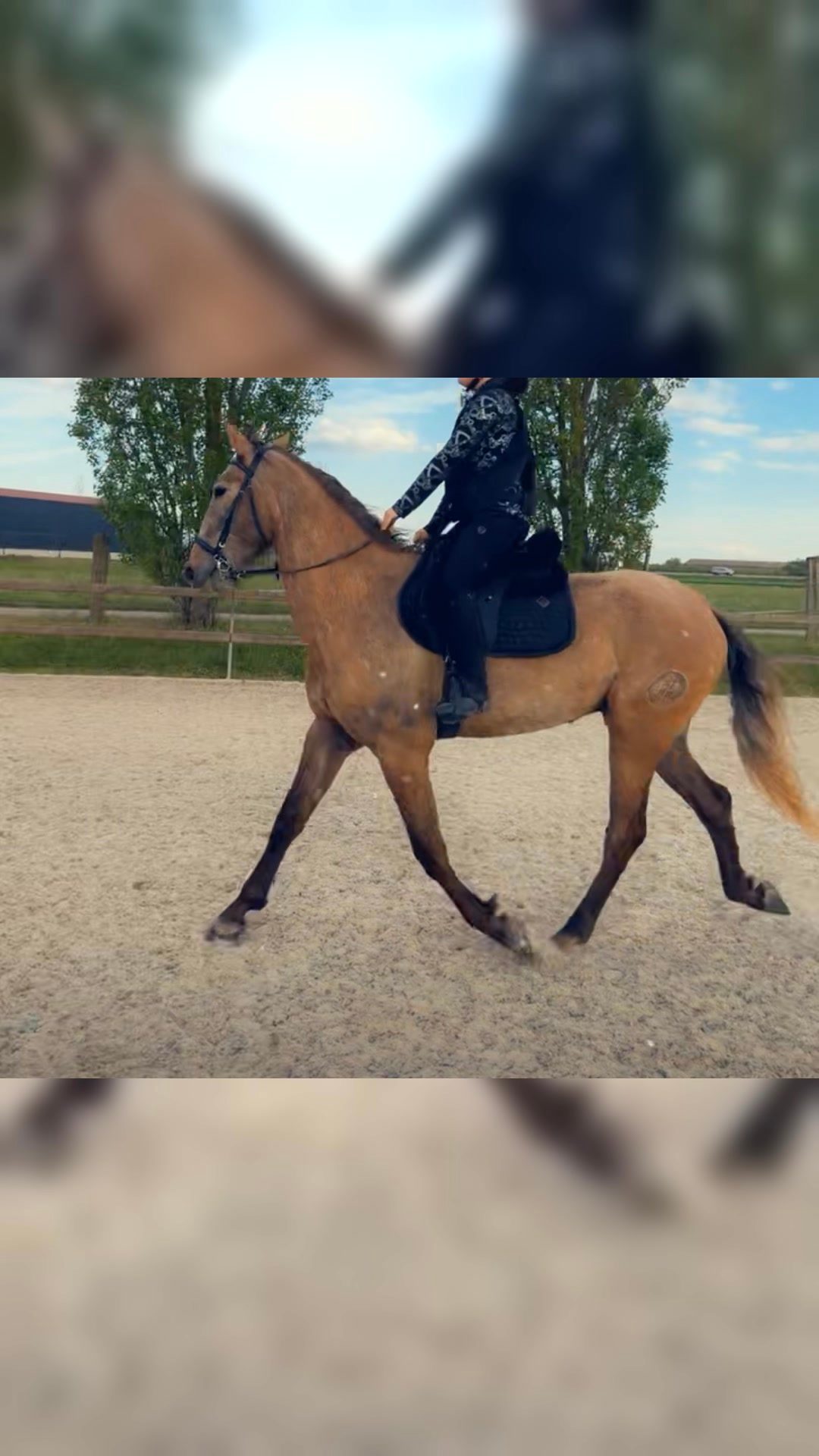 JAÏRO, média 7