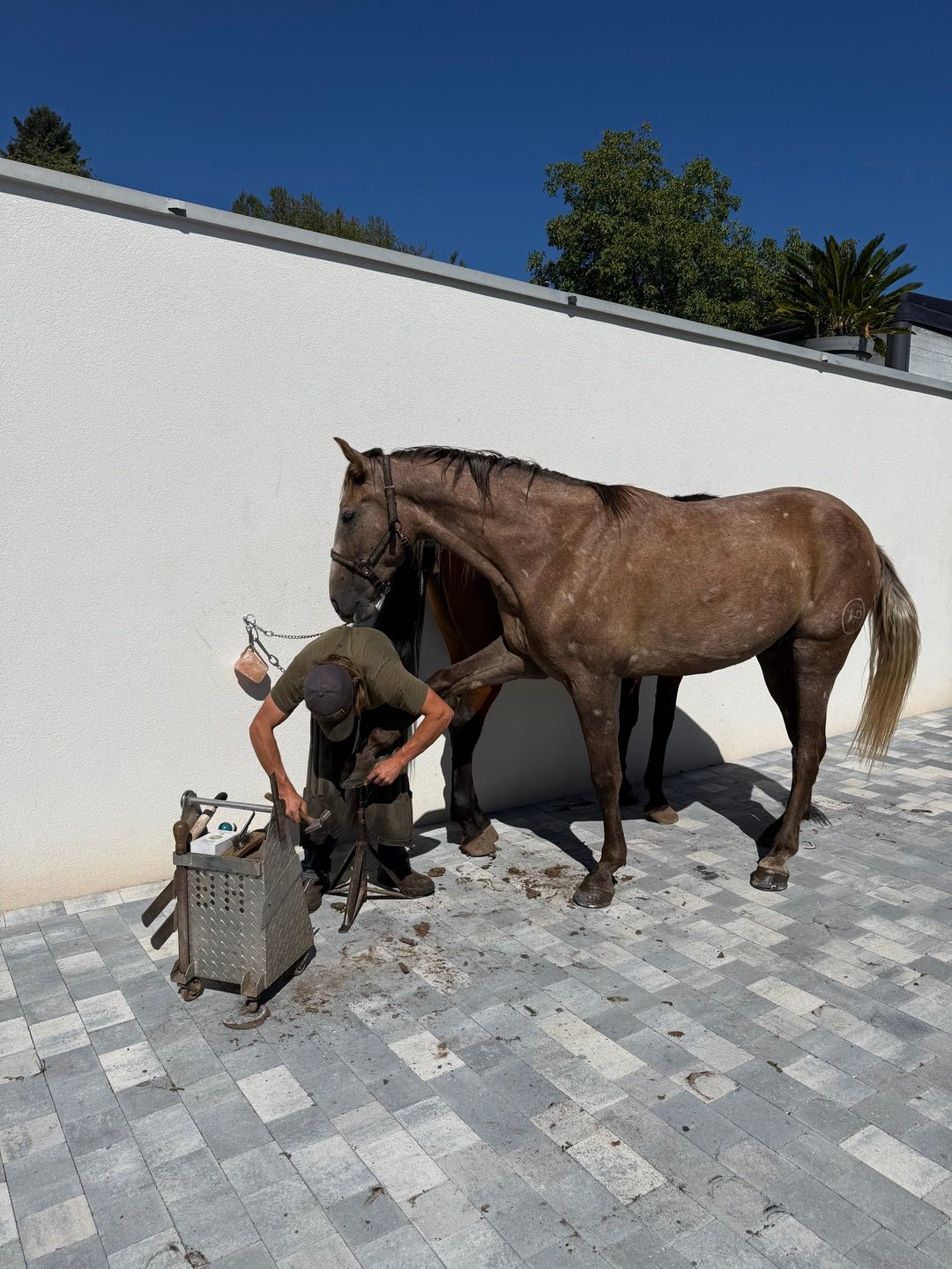 JAÏRO, média 4