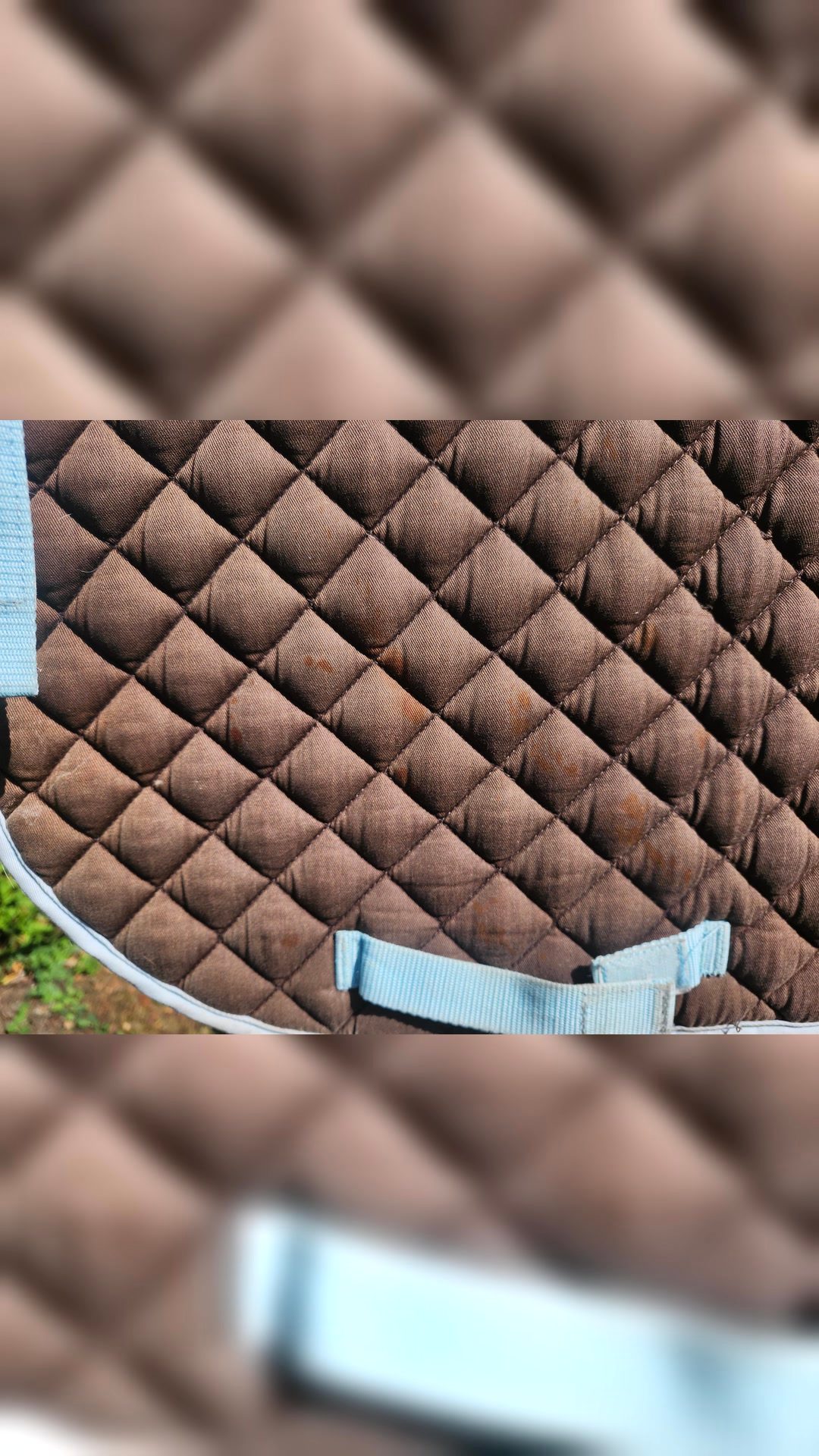 Tapis taille poney, média 2