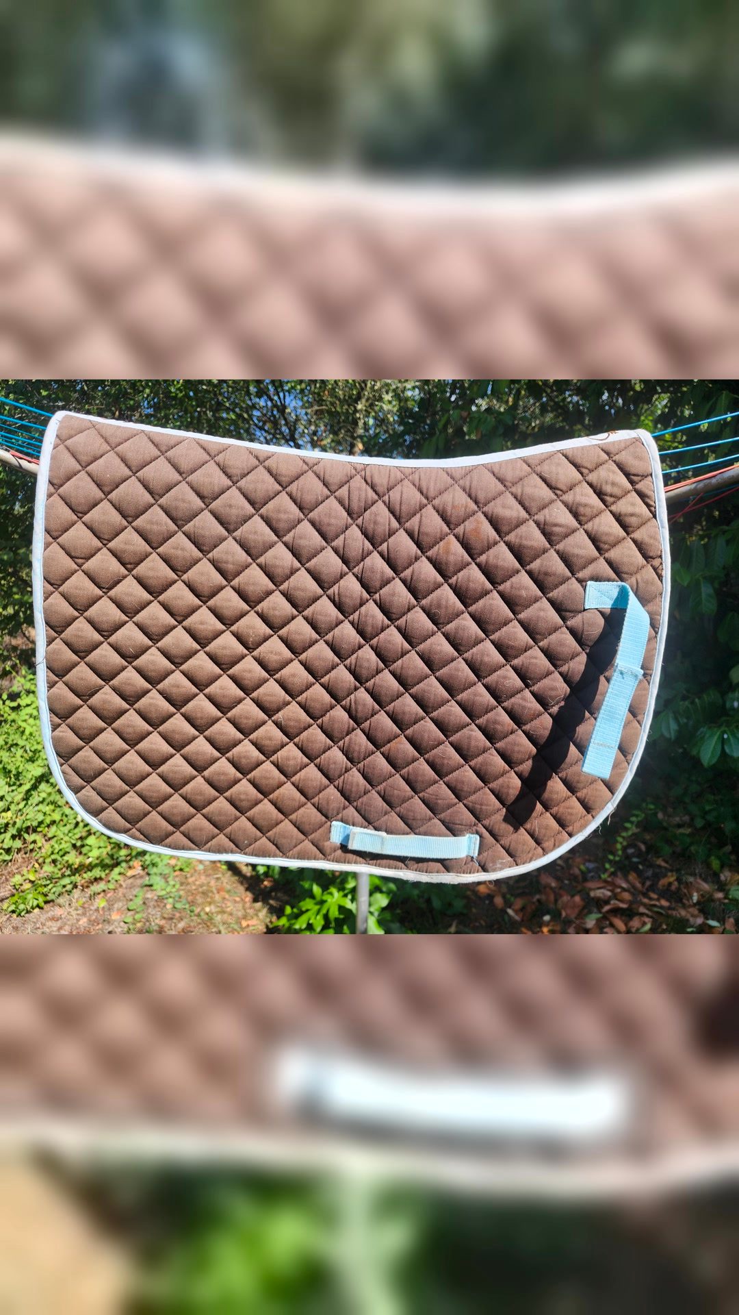Tapis taille poney, média 4