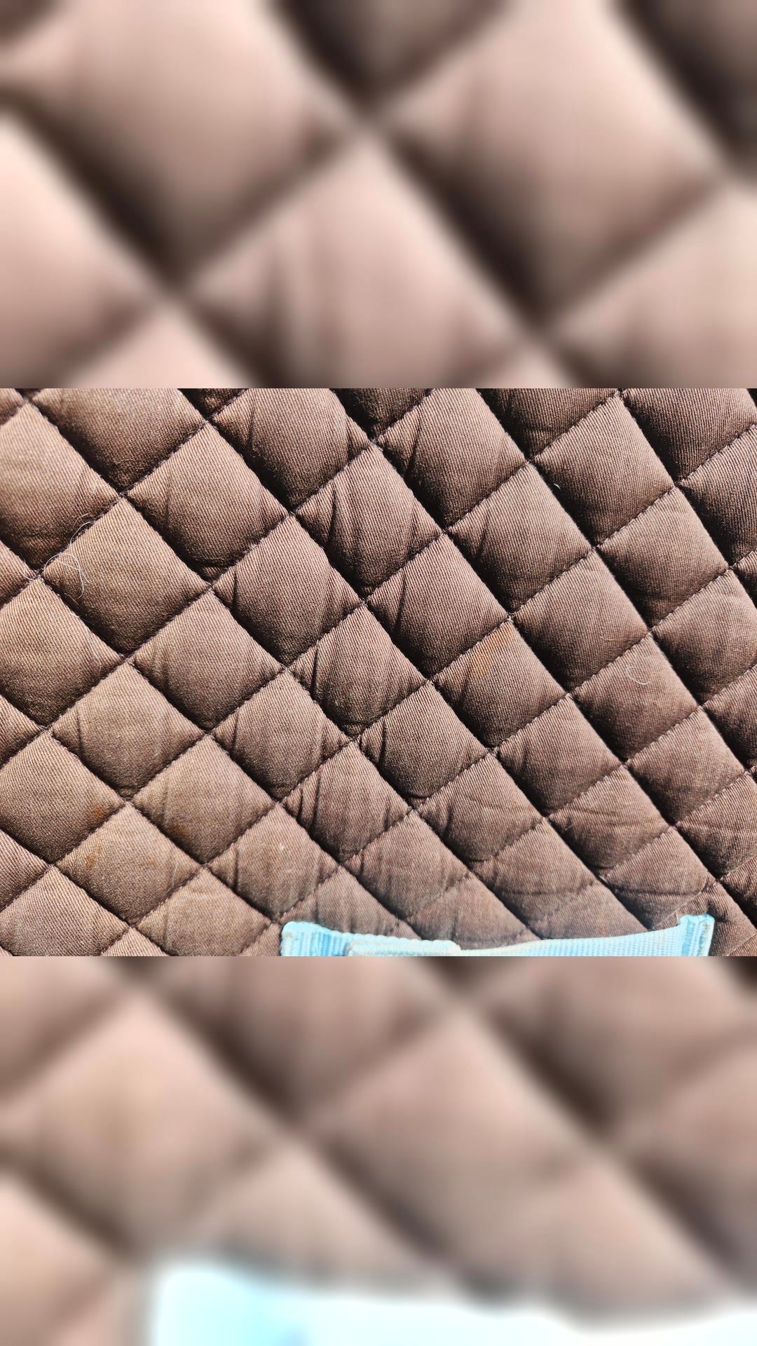 Tapis taille poney, média 6