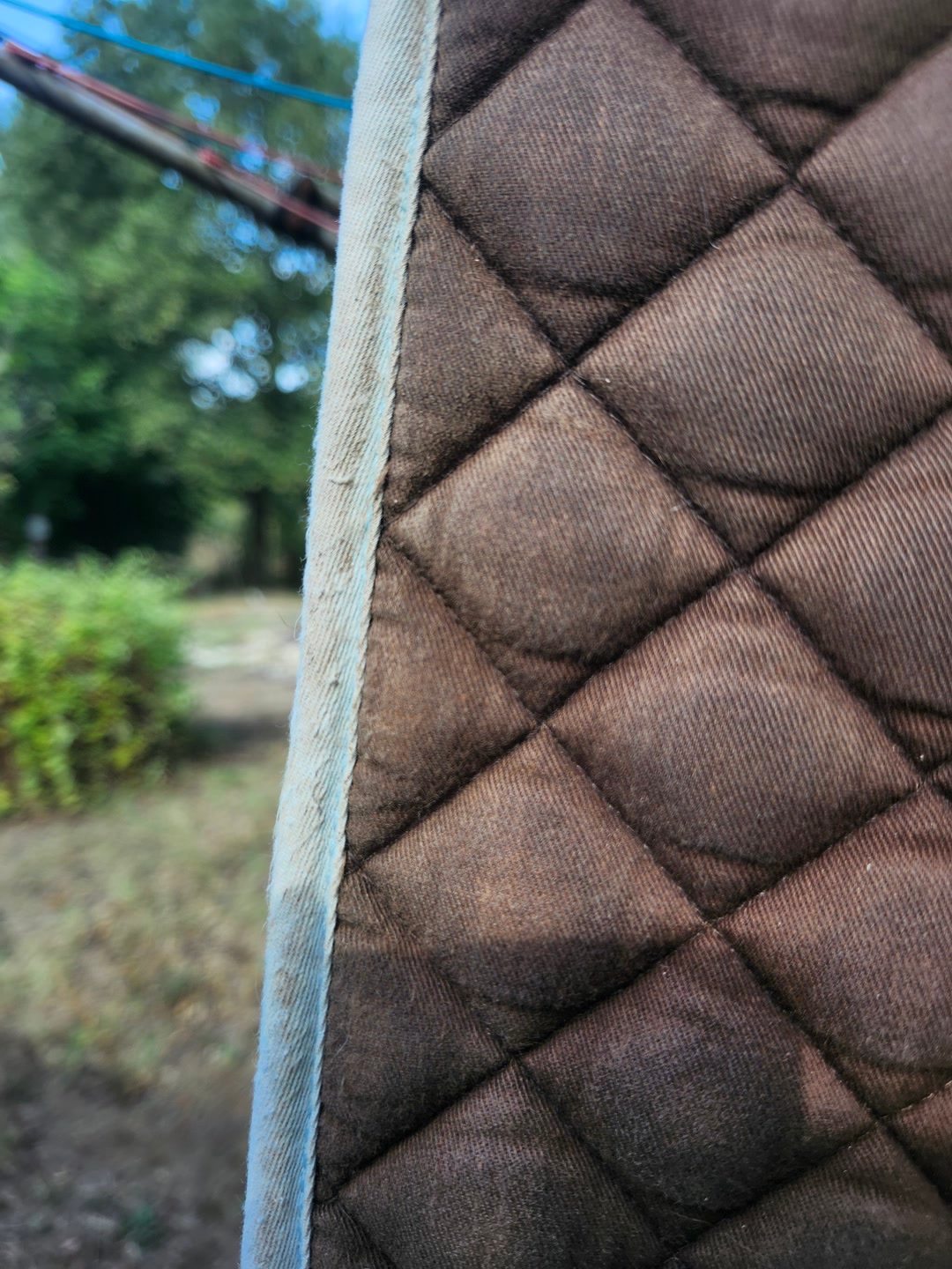 Tapis taille poney, média 9