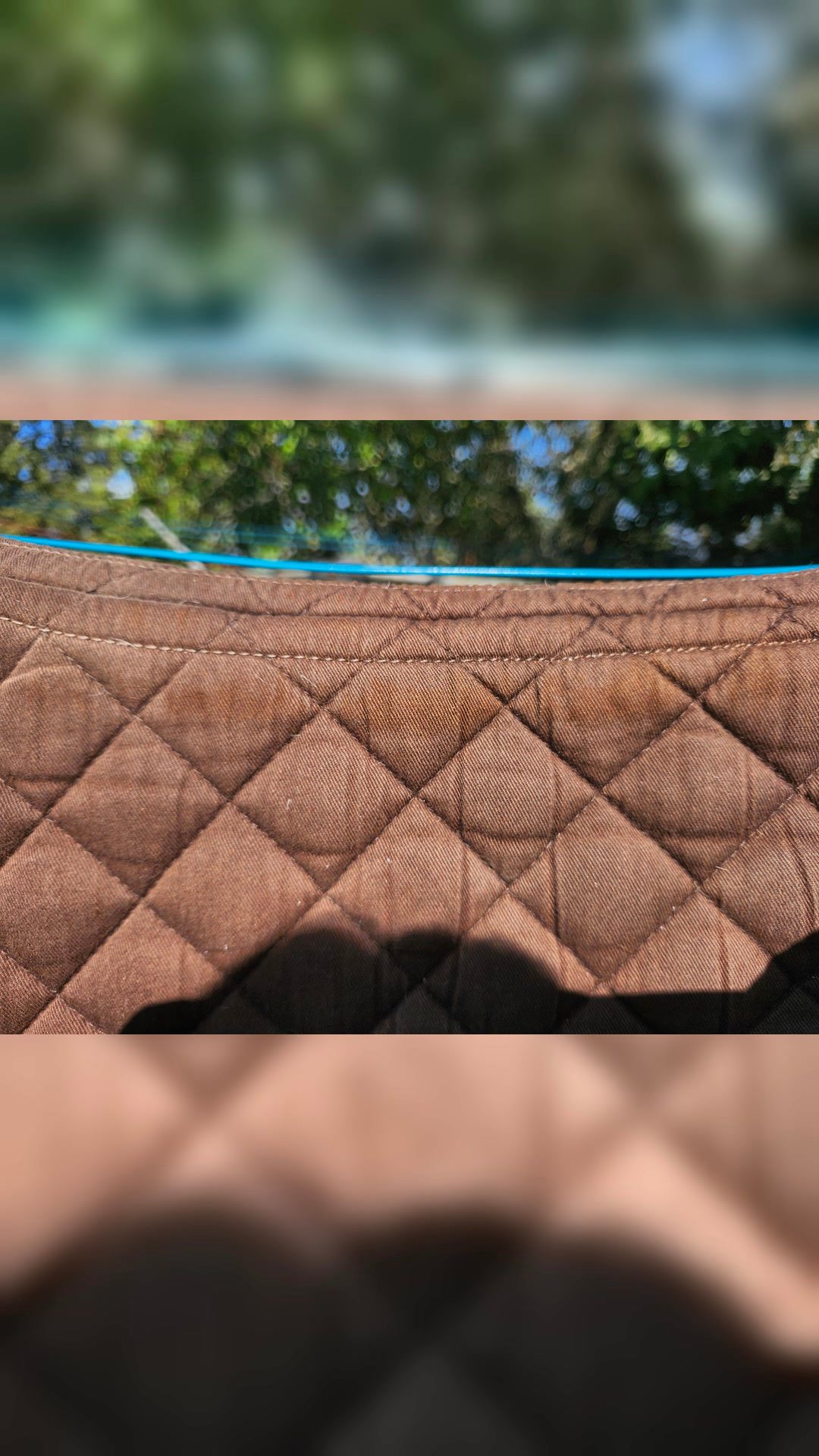 Tapis taille poney, média 11