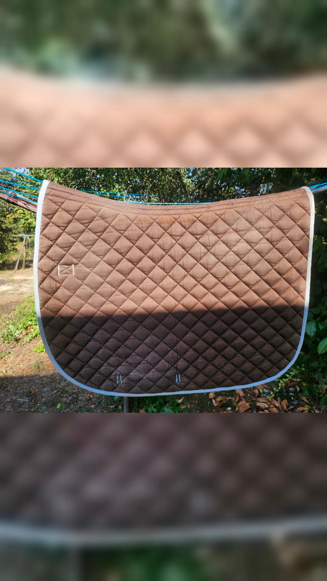 Tapis taille poney, média 10