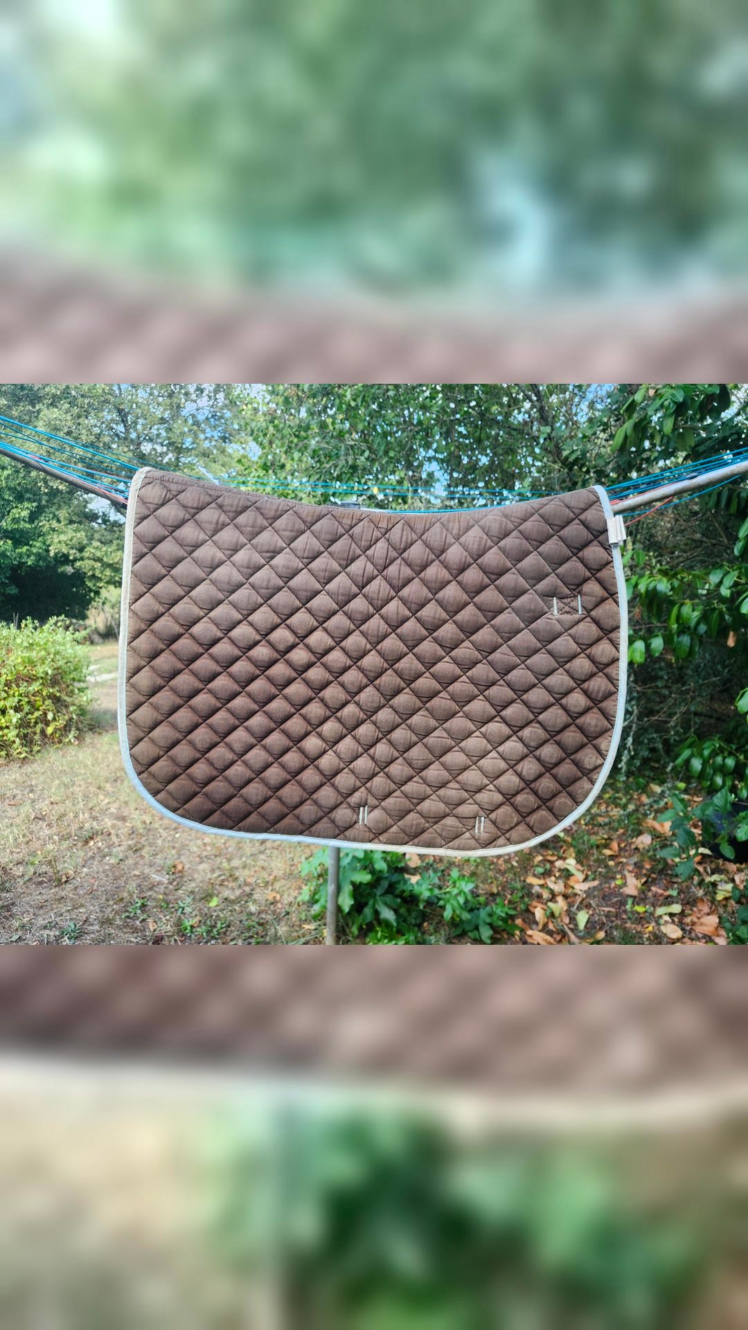 Tapis taille poney, média 7