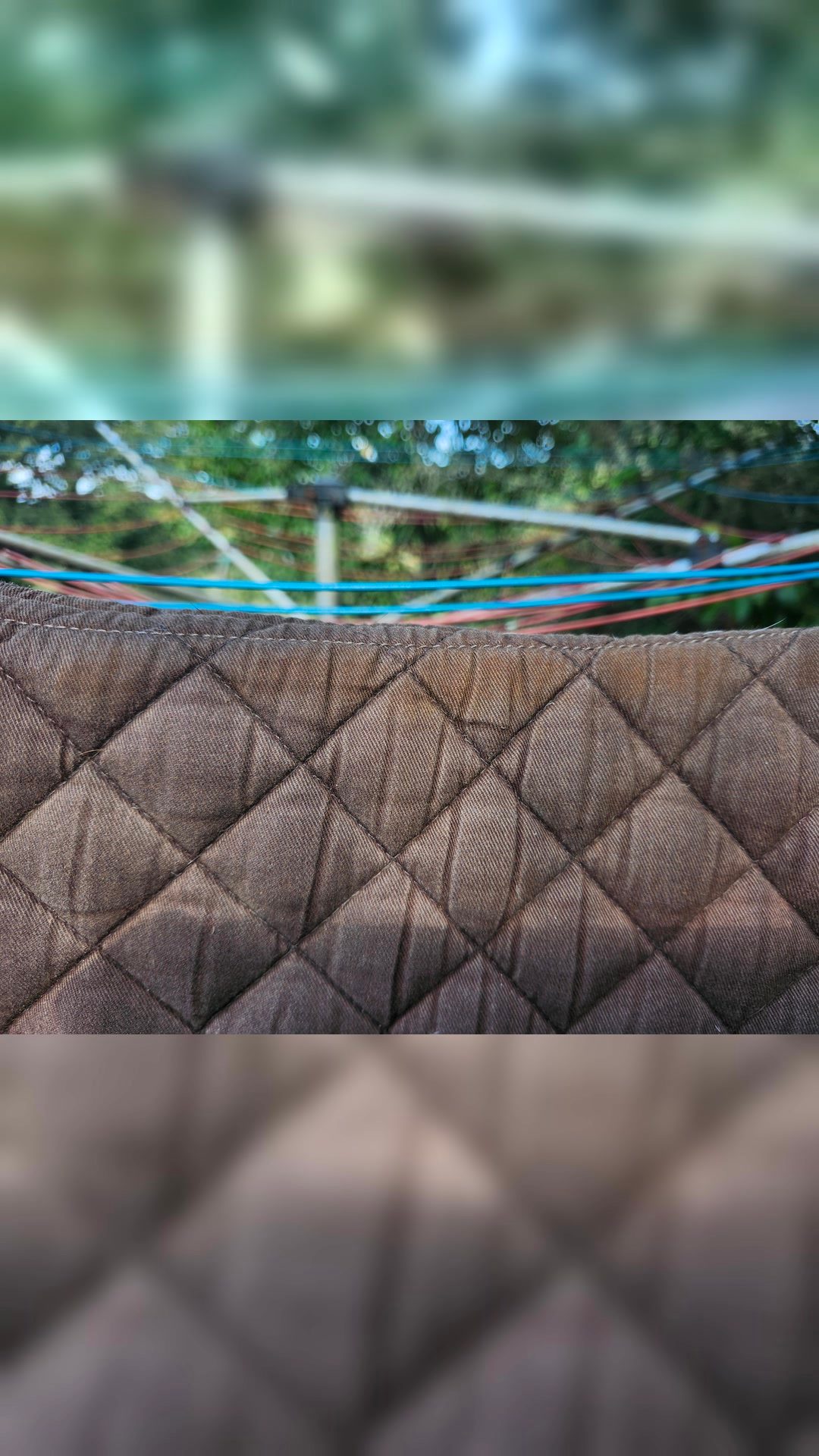 Tapis taille poney, média 8