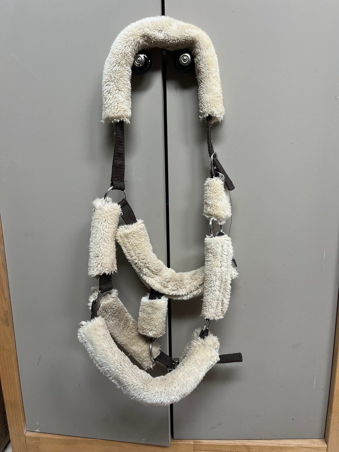 Licol mouton, média 2