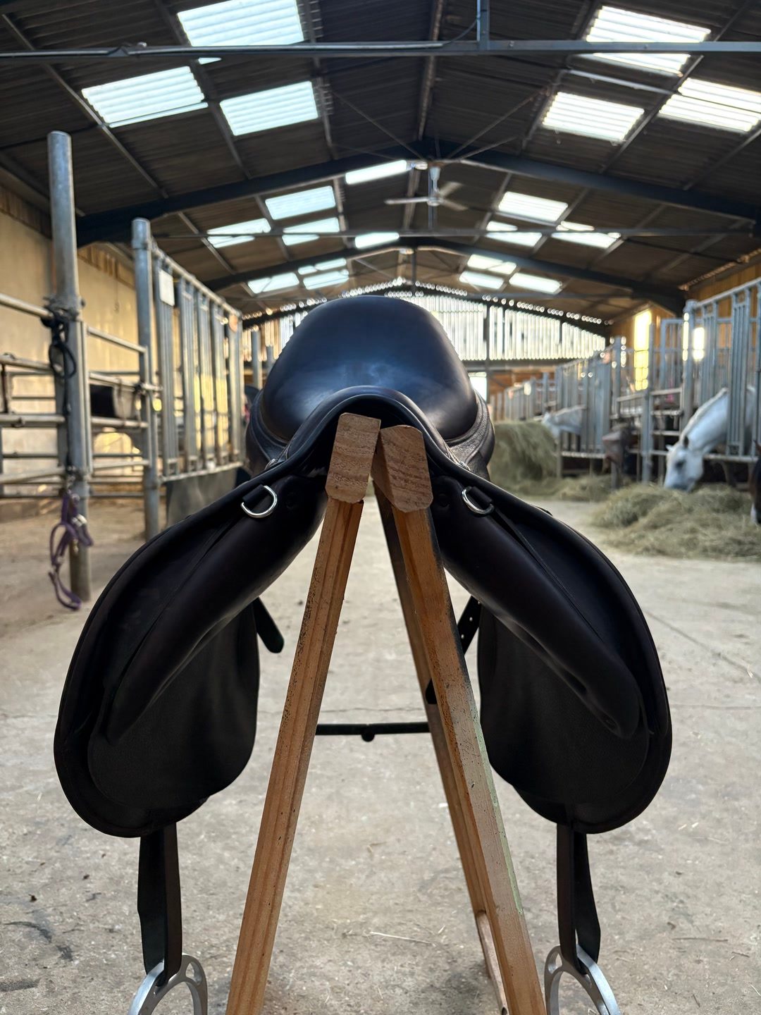 Selle childeric, média 5