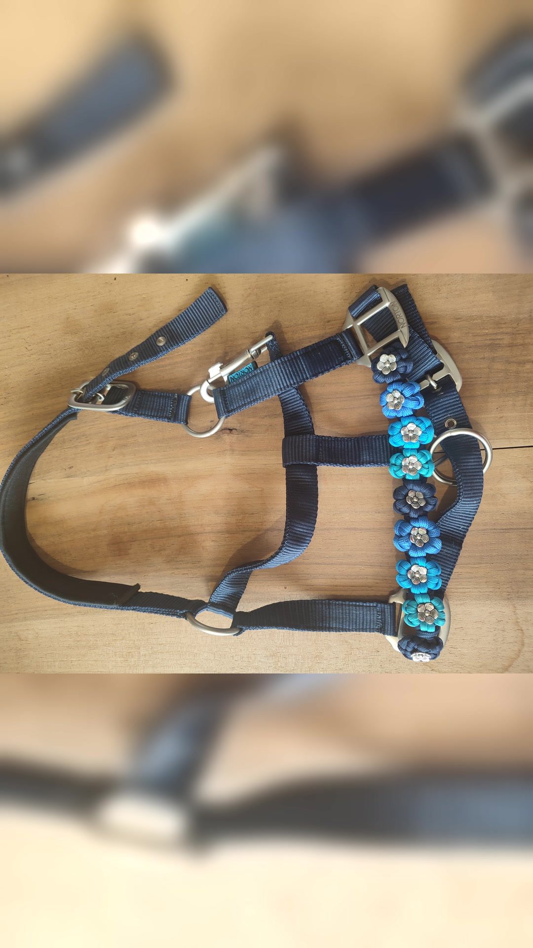 Ensemble Licol et longe Fleurs bleues, média 4