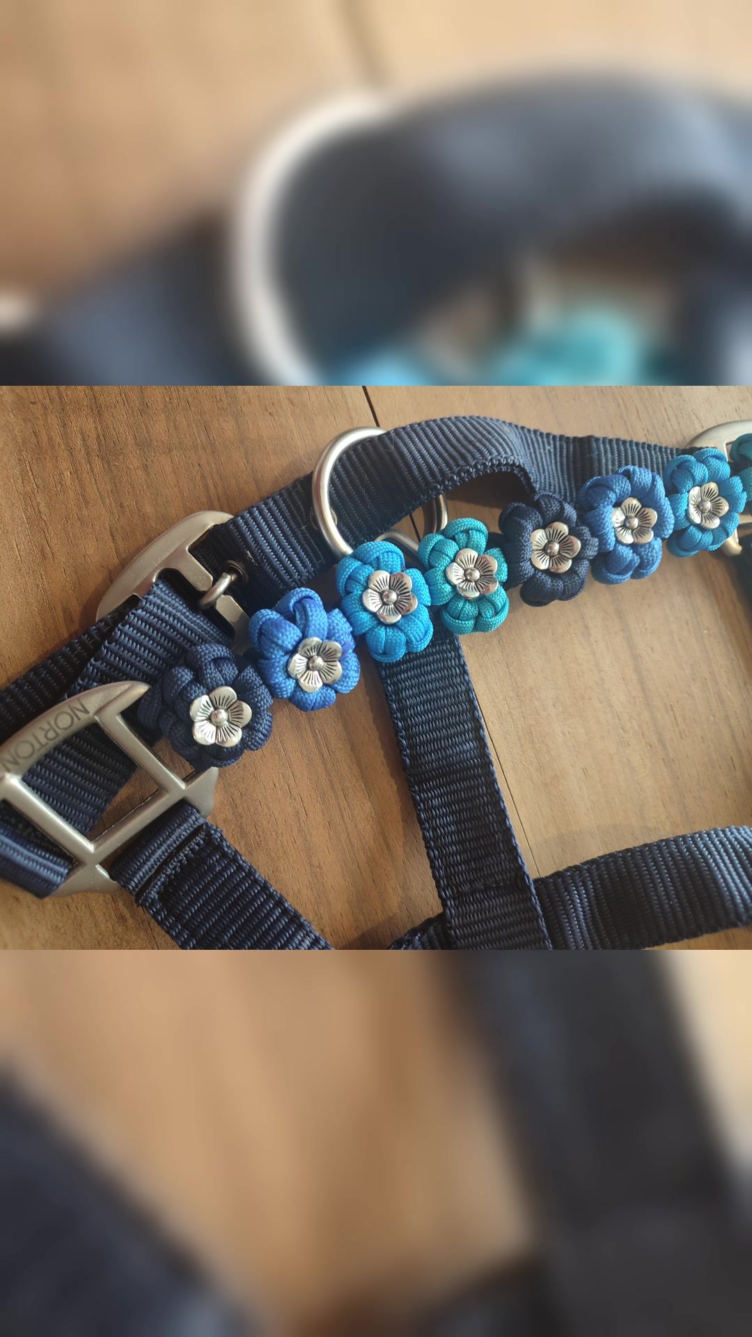 Ensemble Licol et longe Fleurs bleues, média 6