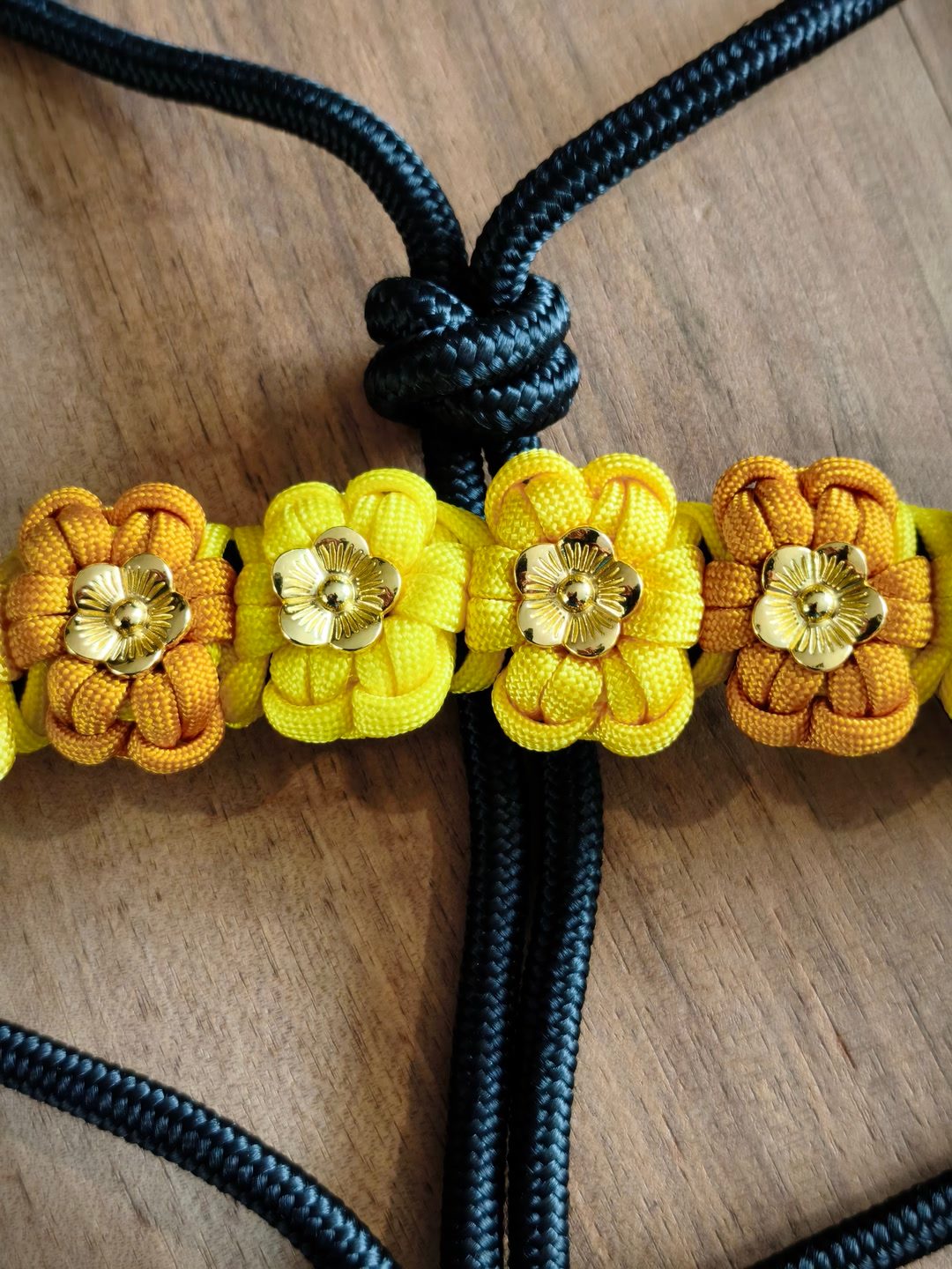 Licol éthologique fleuri, média 6