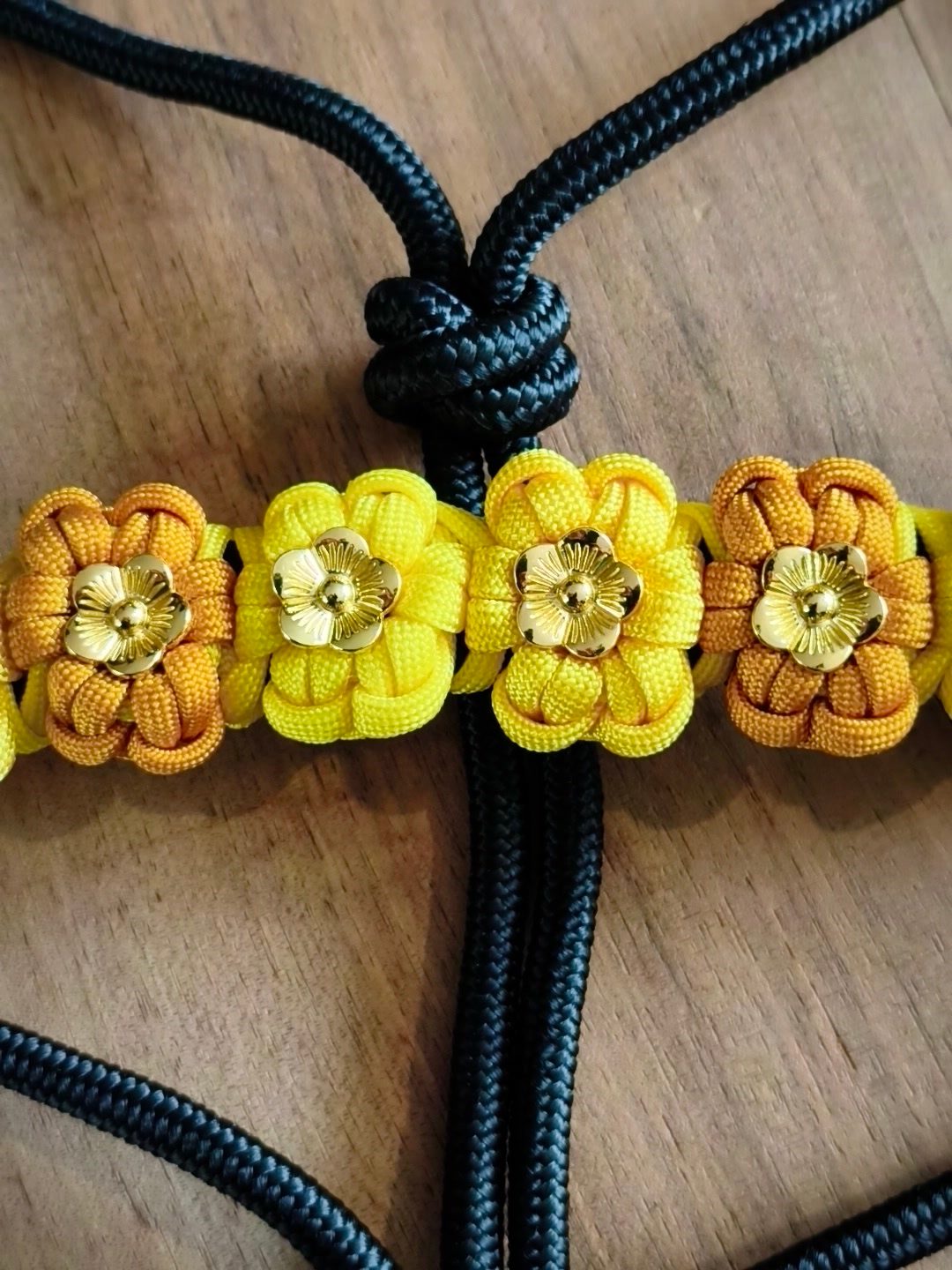 Licol éthologique fleuri, média 4