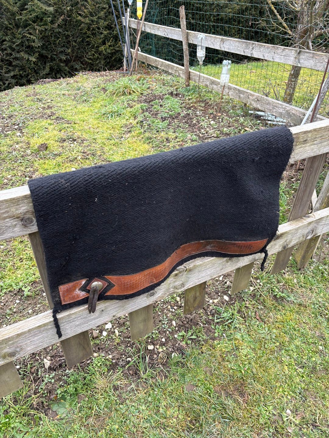 Selle western, média 5