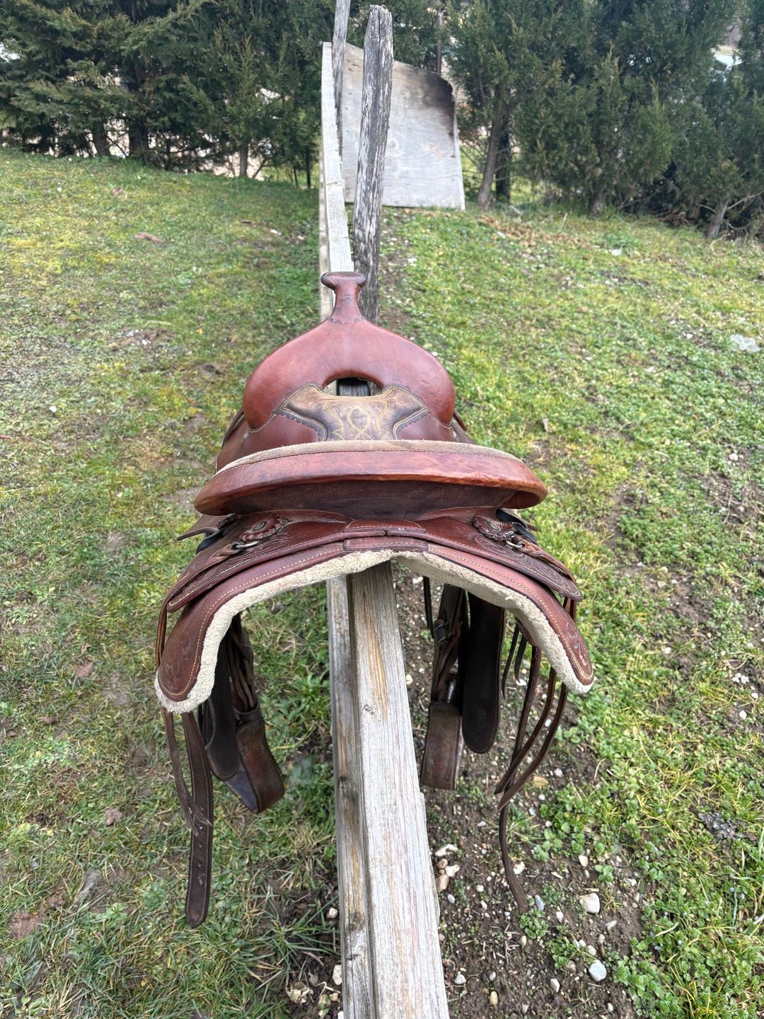 Selle western, média 4