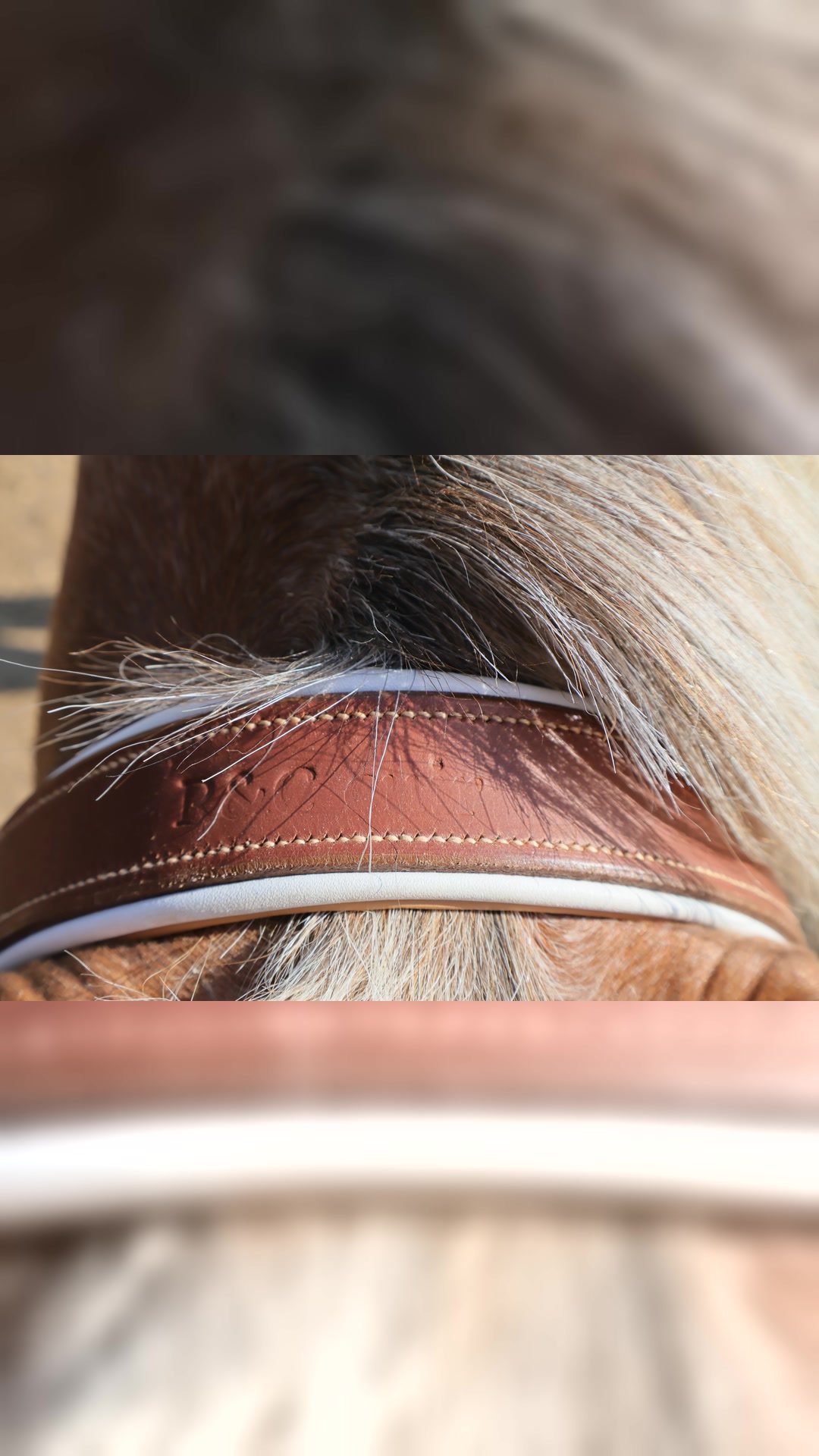 Bridon/ filet prestige, média 9