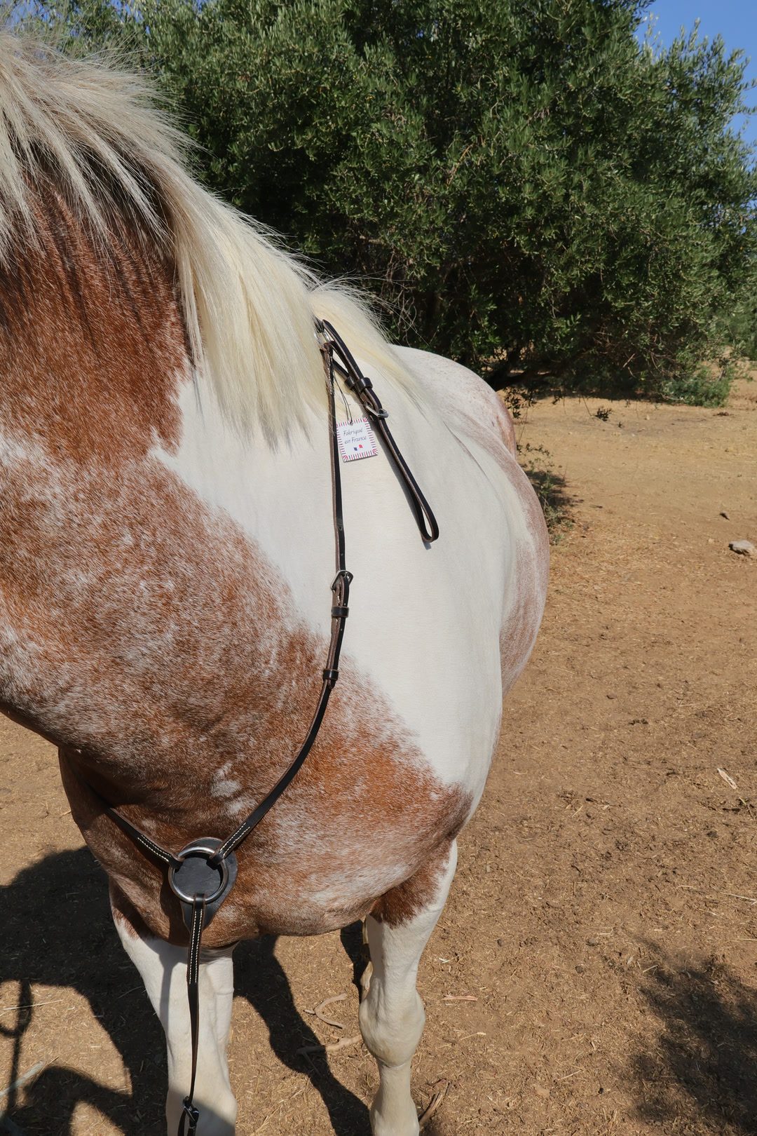 Collier de chasse, média 2