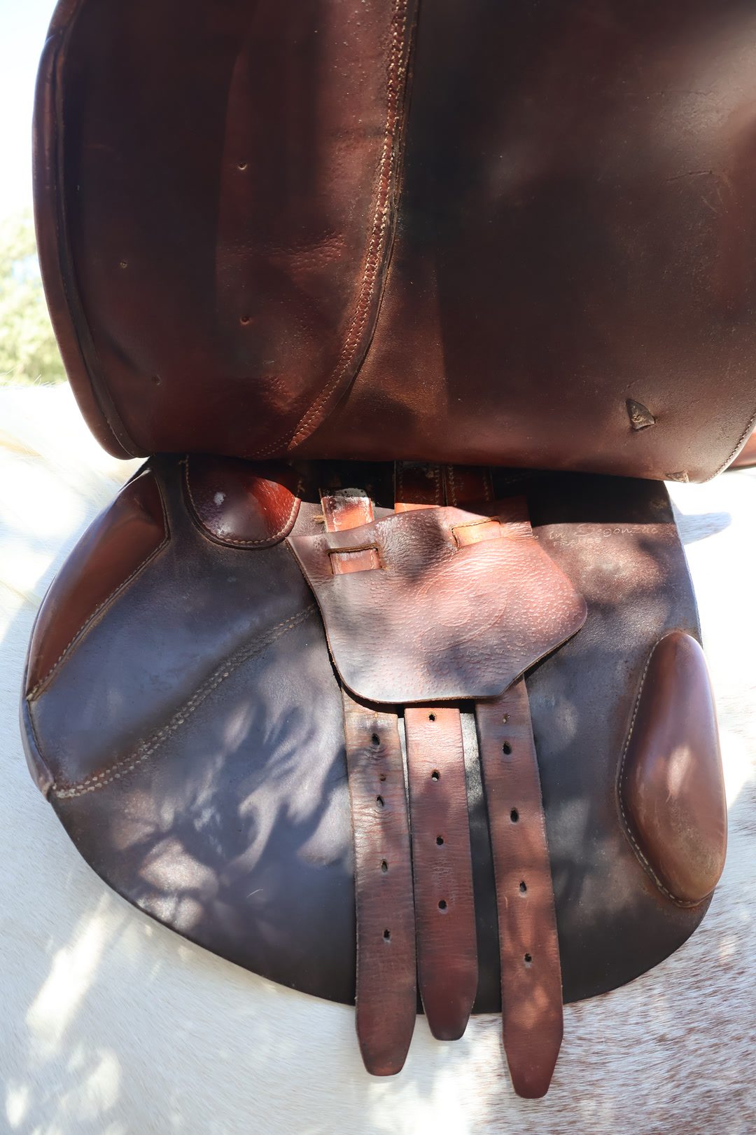 Selle Forestier mixte, média 10