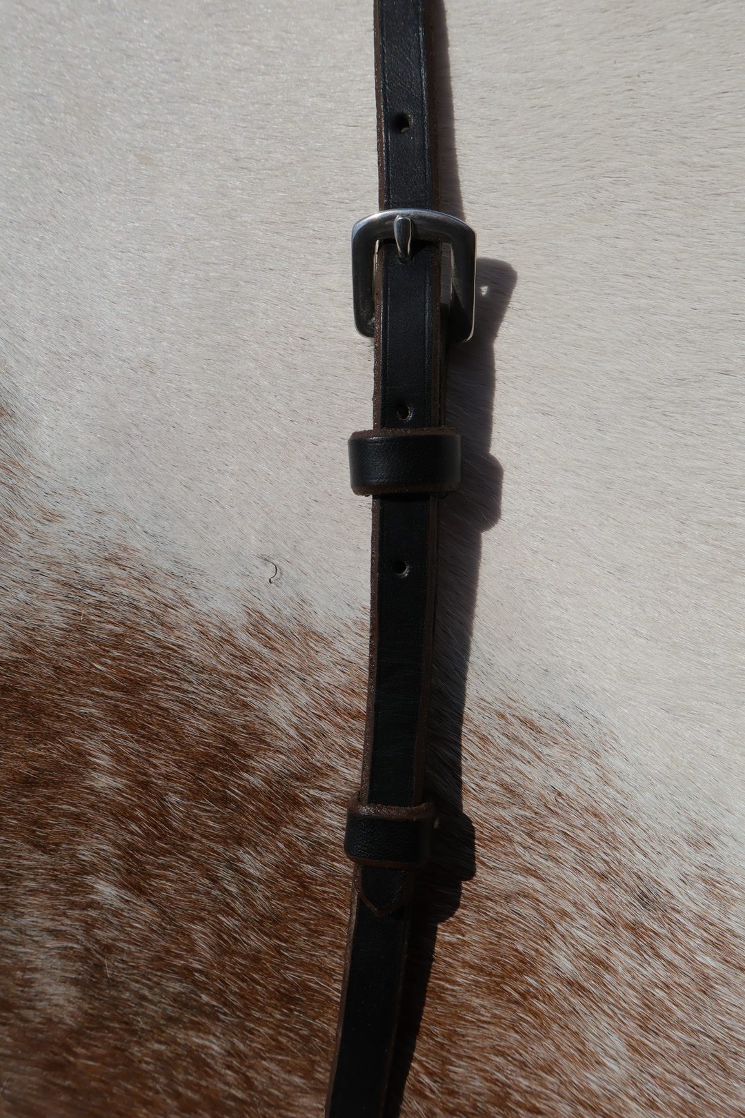 Collier de chasse, média 6