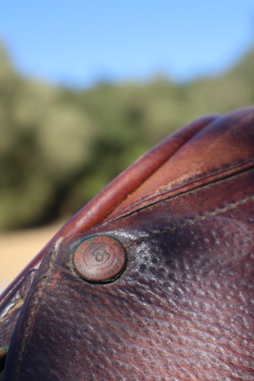 Selle Forestier mixte, média 7