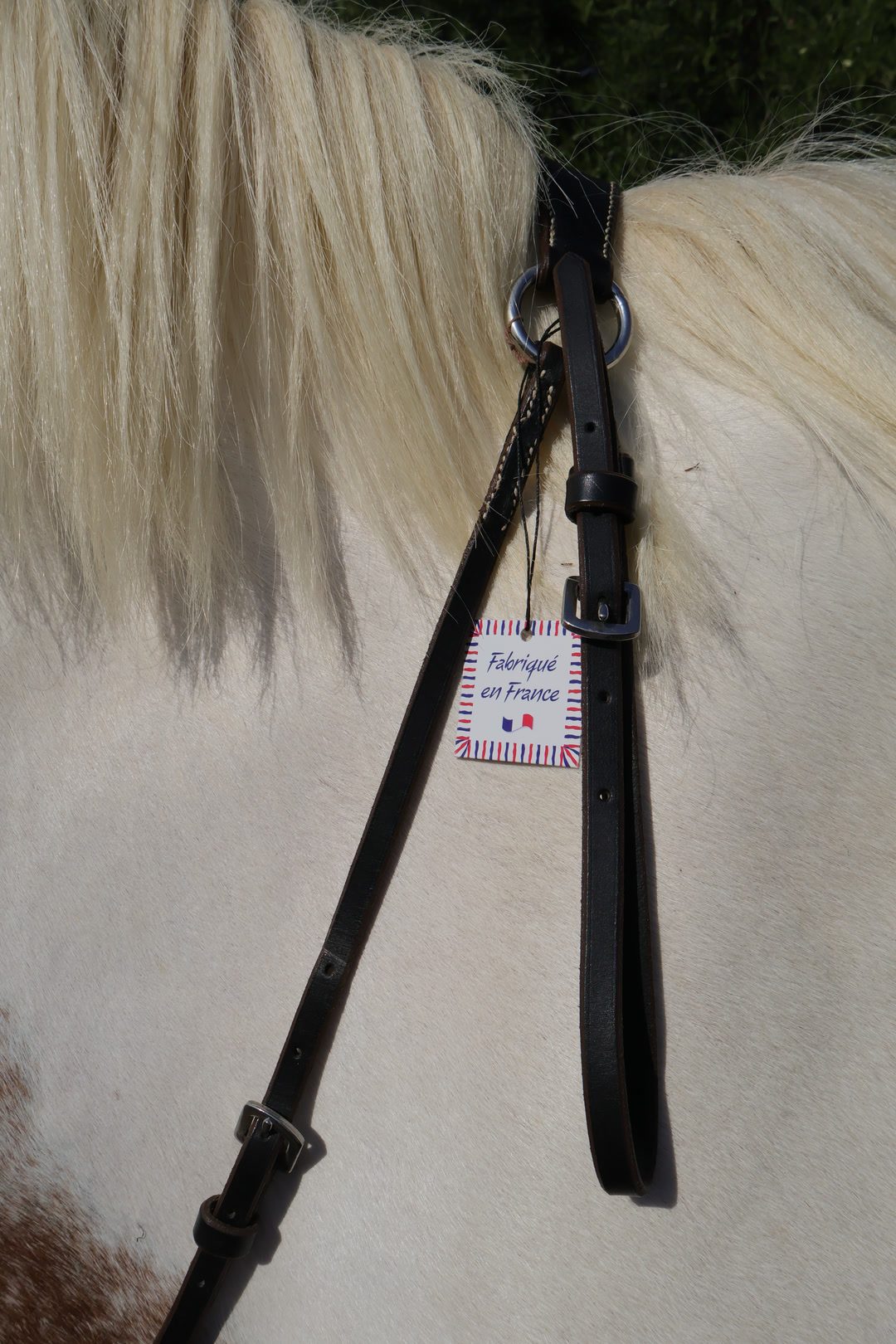 Collier de chasse, média 3