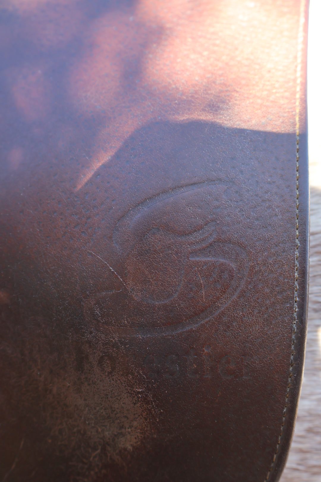 Selle Forestier mixte, média 6
