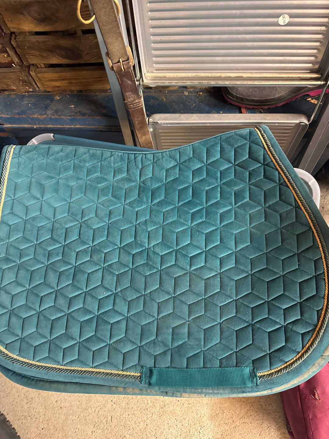 Tapis Kentucky velvet, média 3