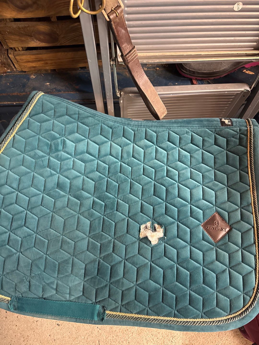 Tapis Kentucky velvet, média 2