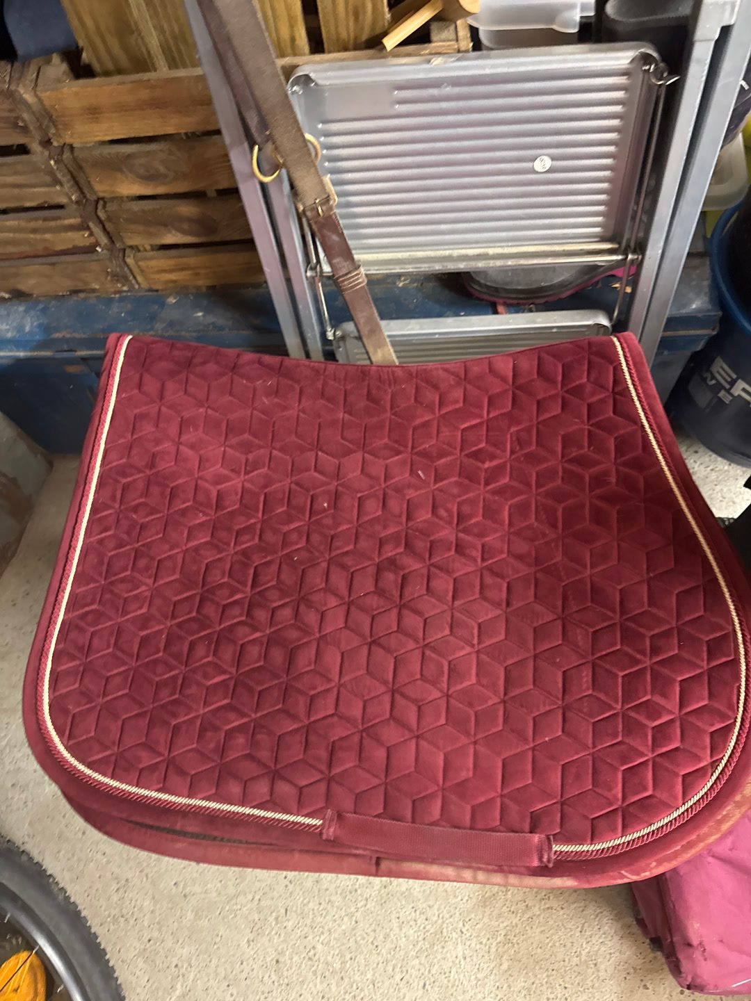 Tapis Kentucky velvet, média 2