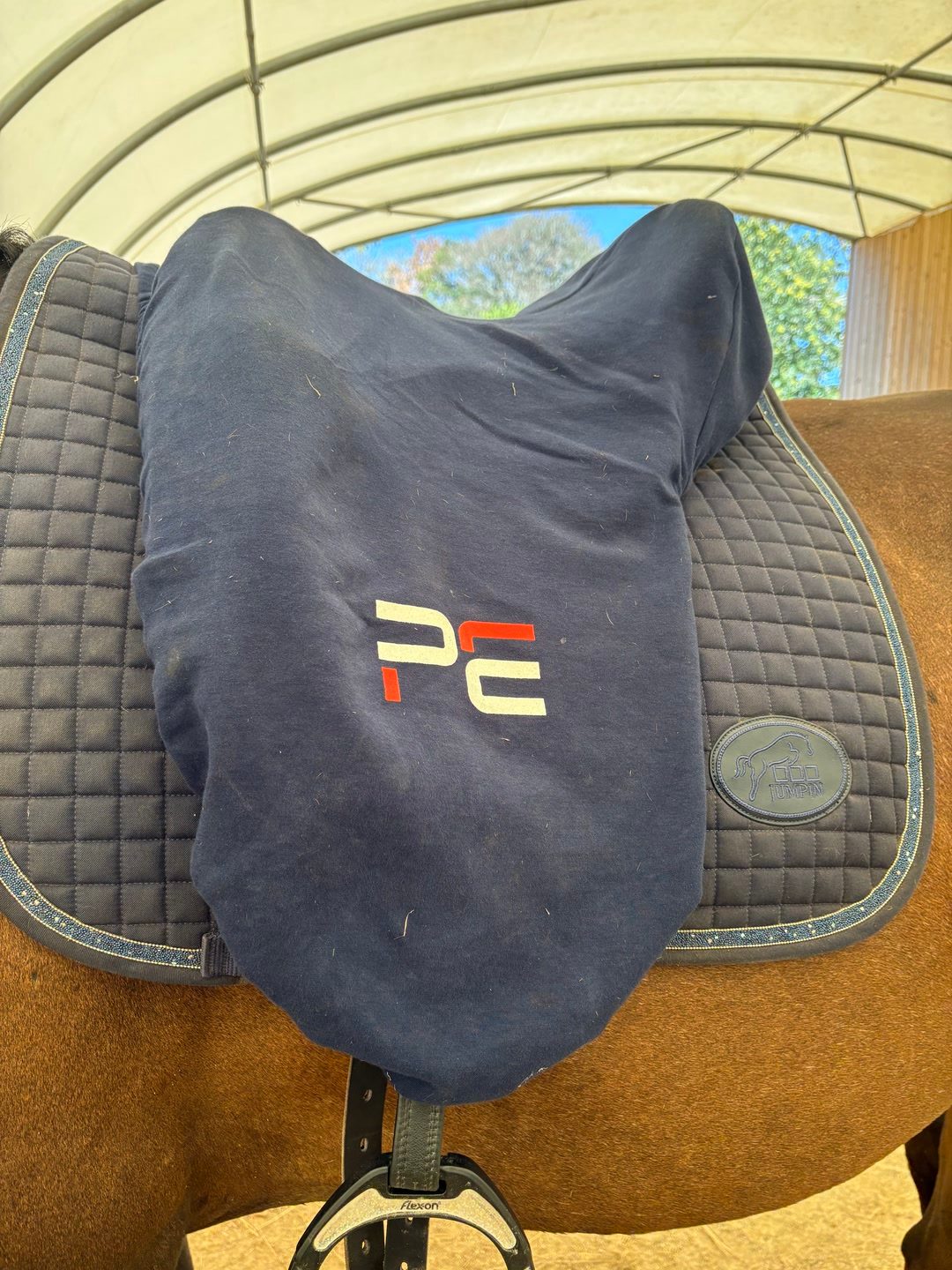 Selle de dressage, média 5
