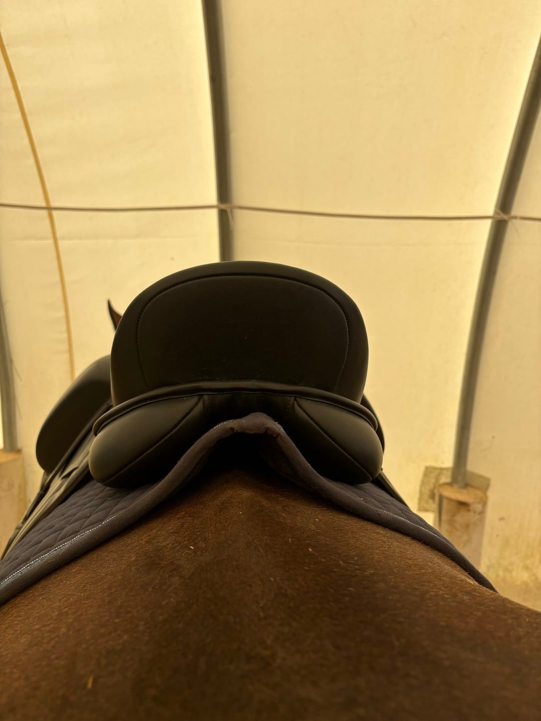 Selle de dressage, média 4