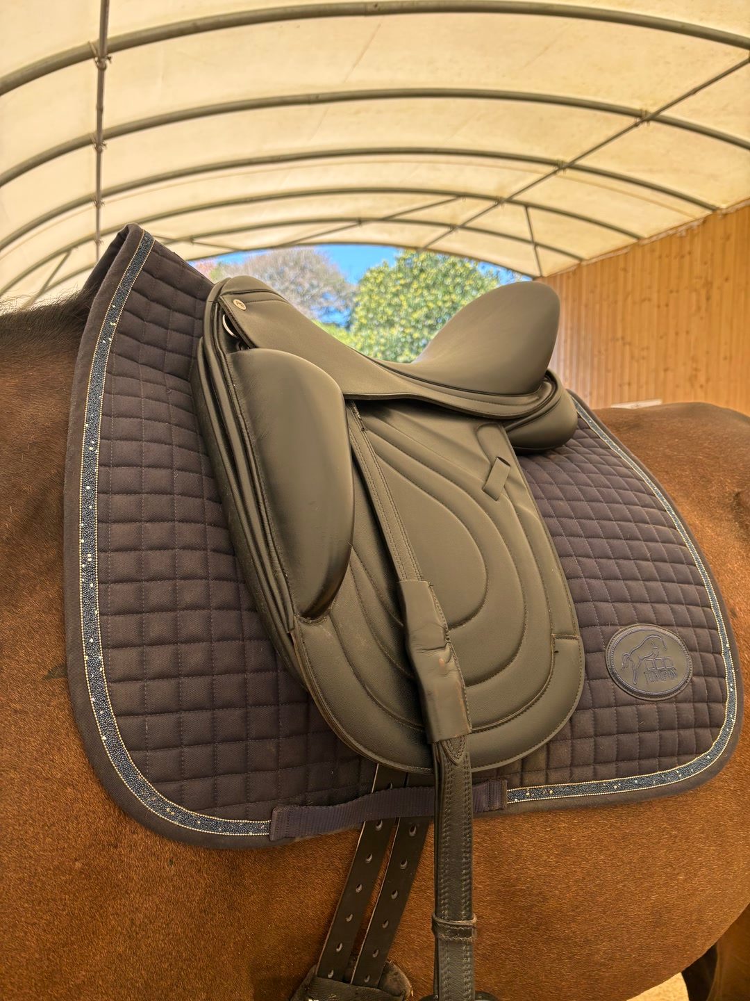 Selle de dressage, média 2