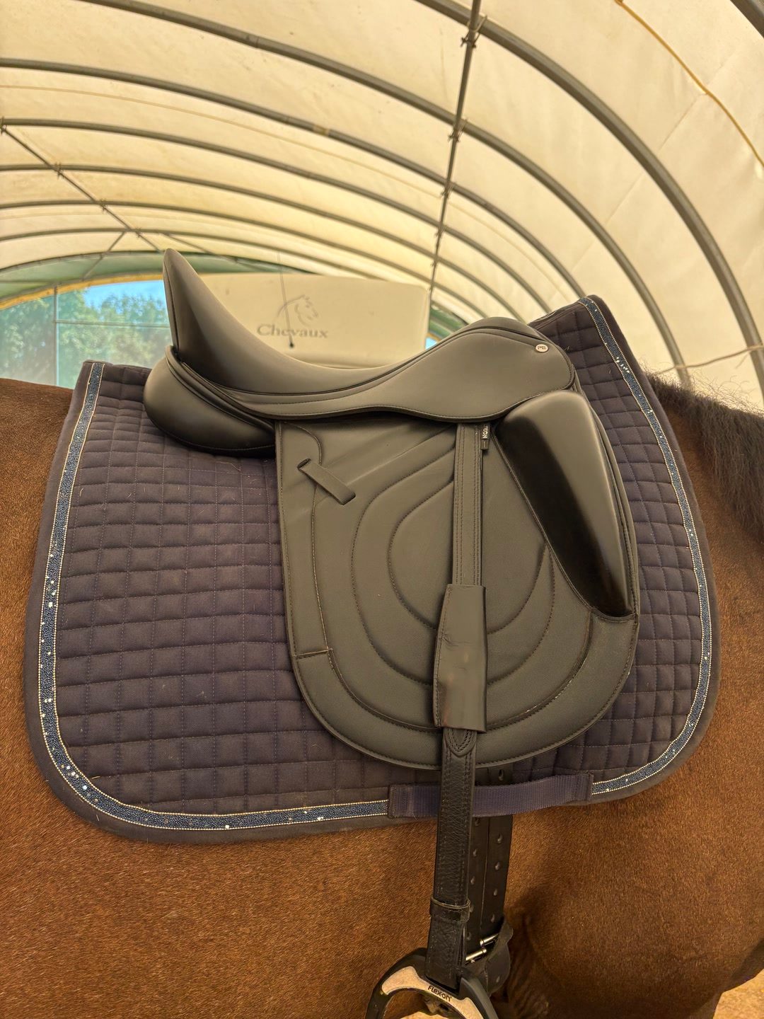 Selle de dressage, média 3