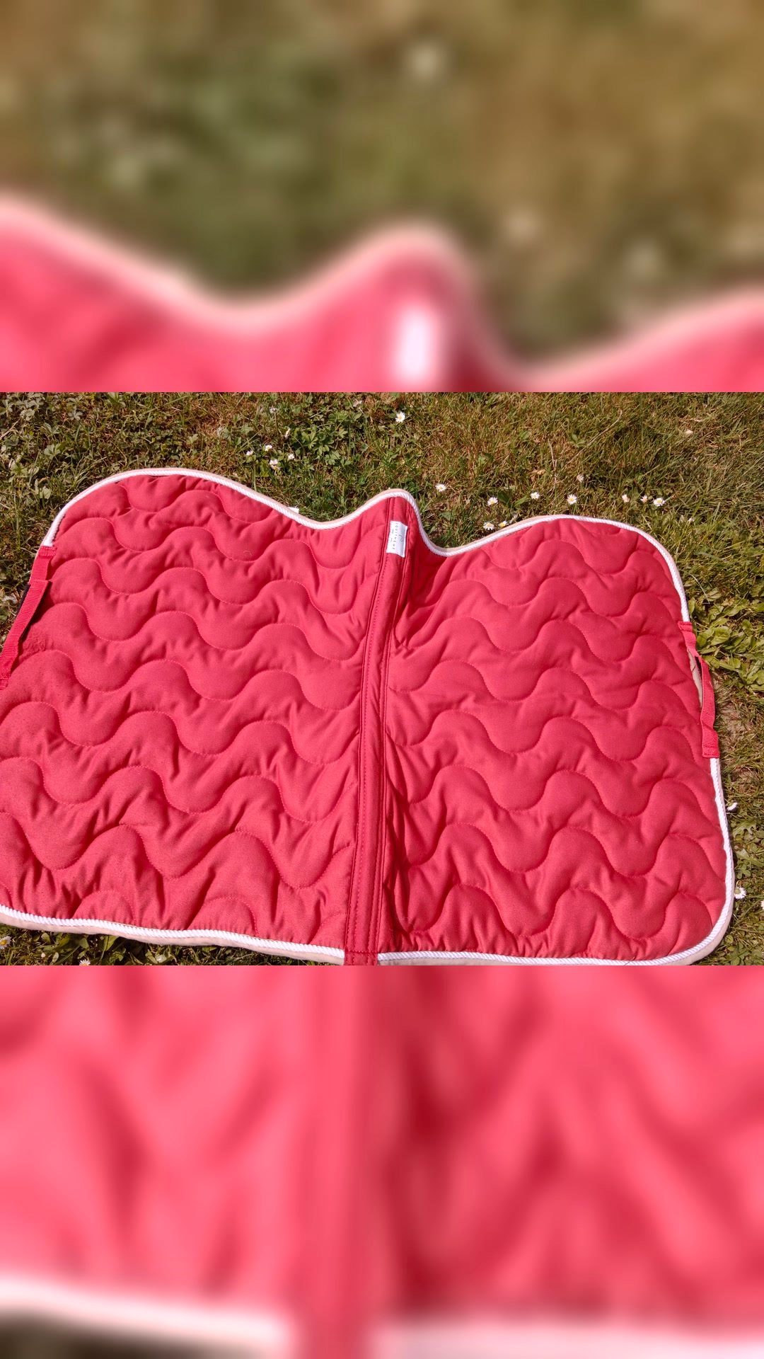 Tapis de selle et bonnet, média 3