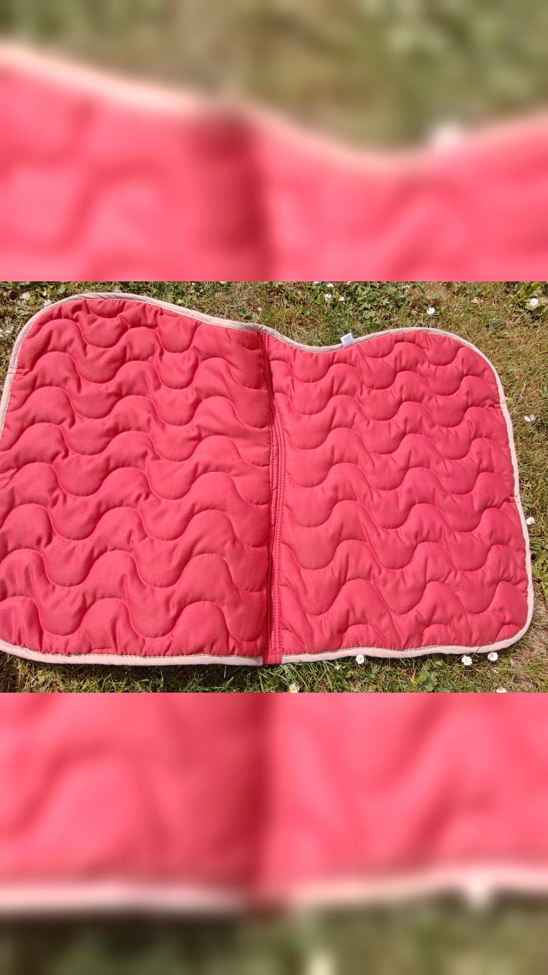 Tapis de selle et bonnet, média 2