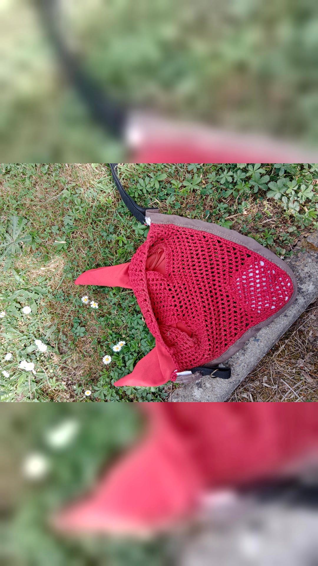 Tapis de selle et bonnet, média 5