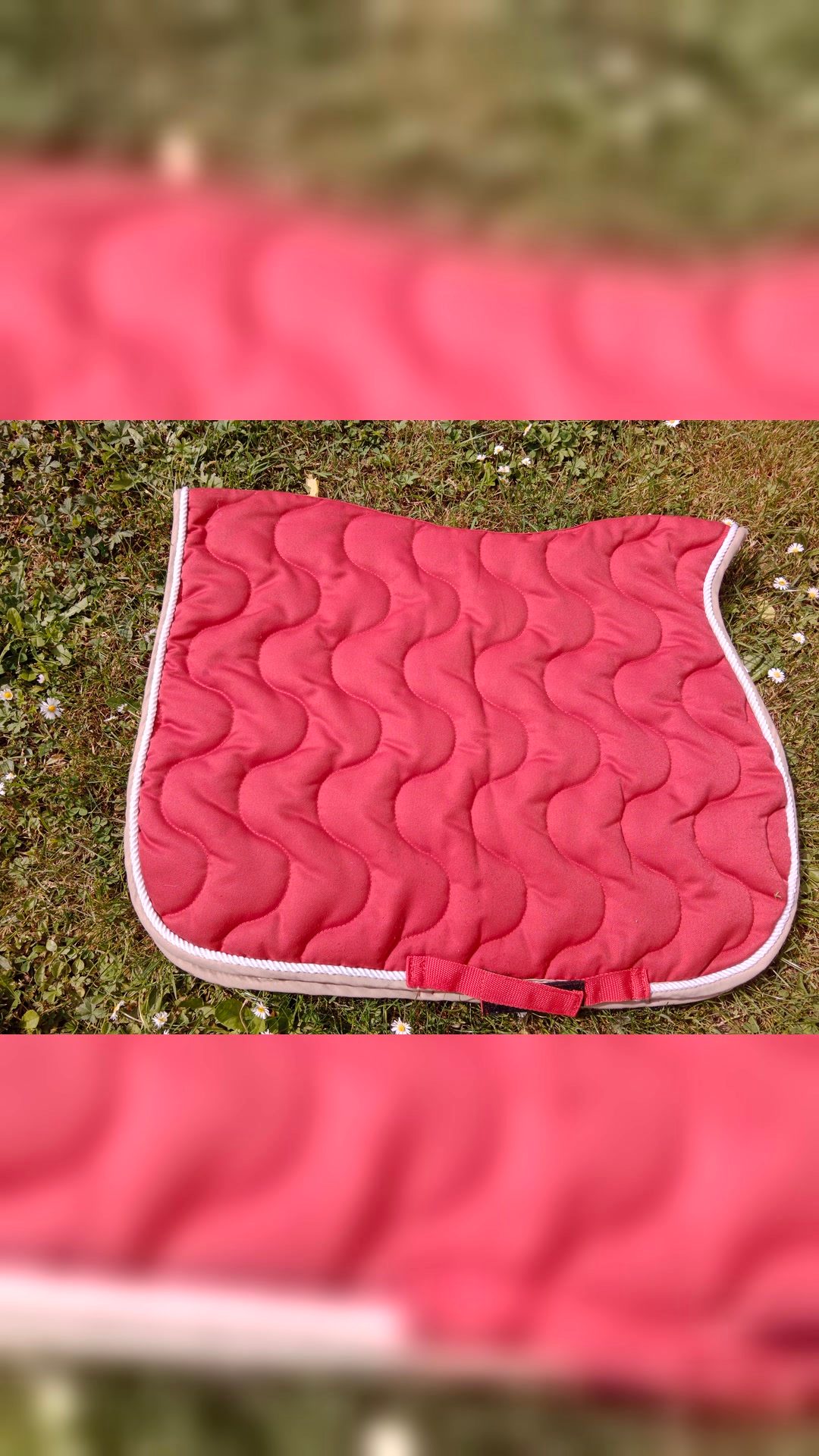Tapis de selle et bonnet, média 4