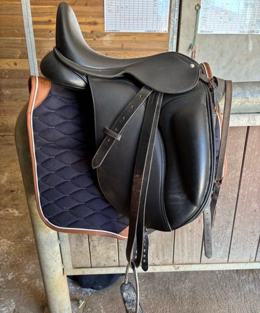 Selle dressage Lexhis, média 3