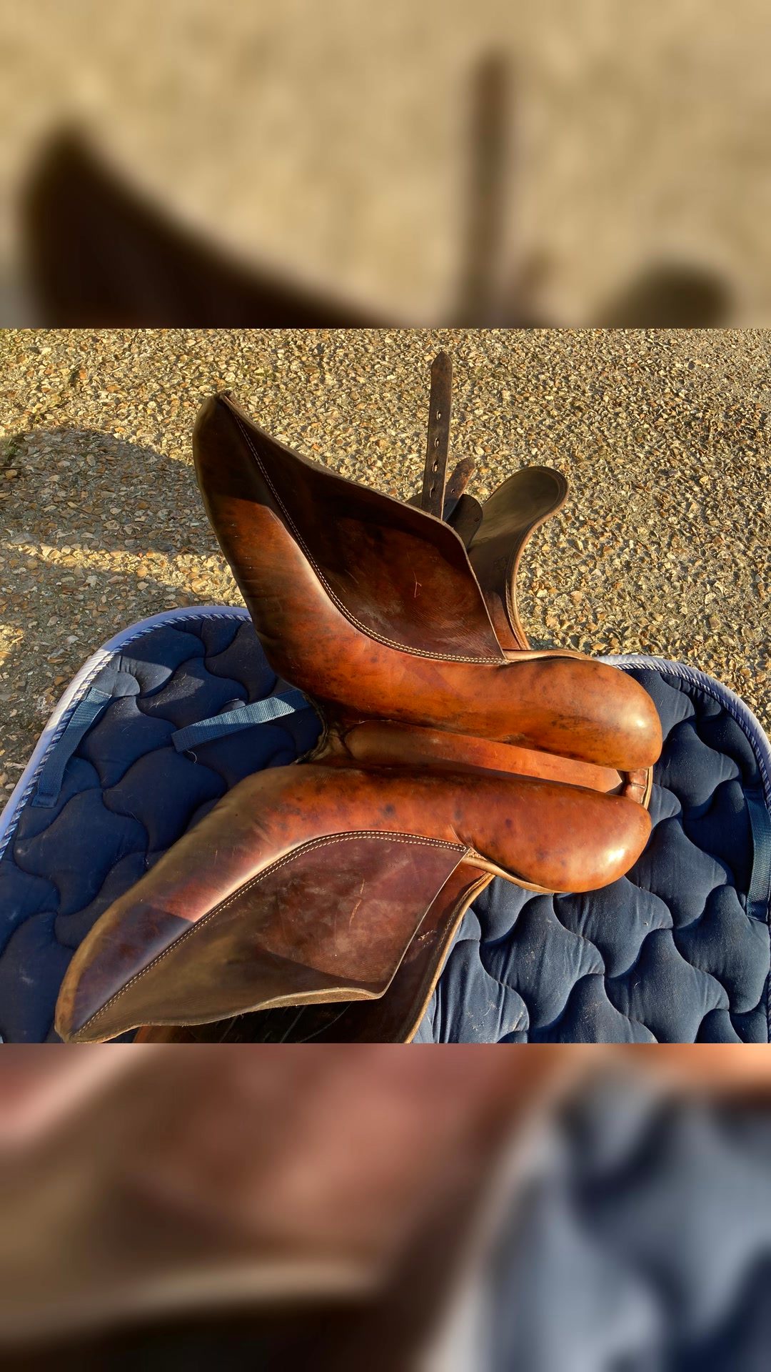 Selle Stübben dressage, média 7