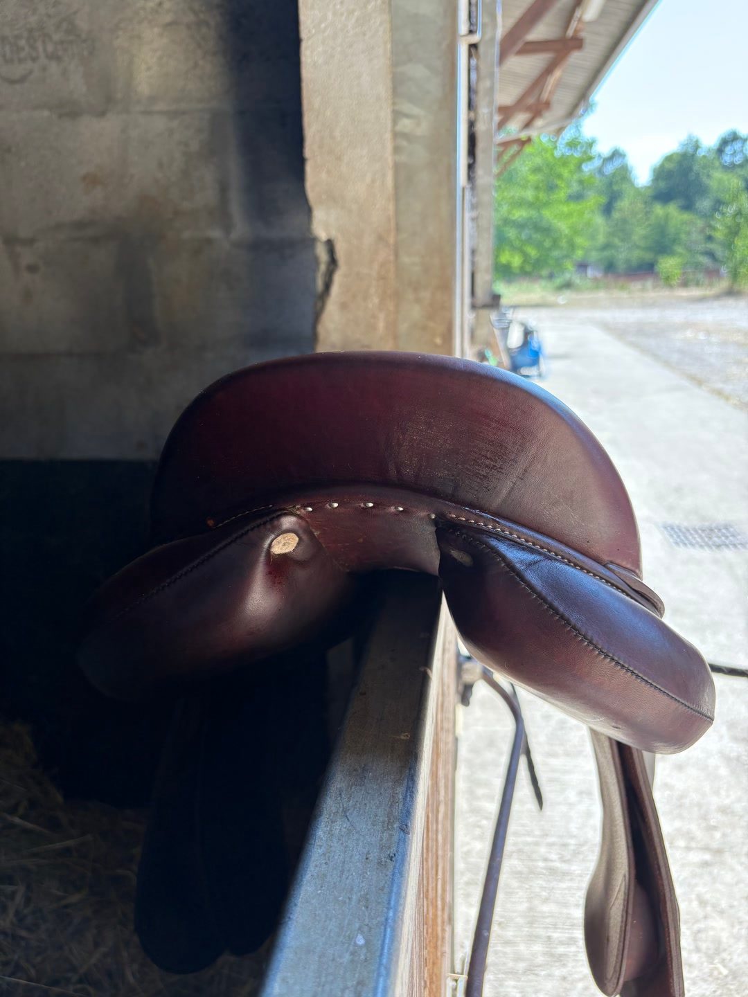 Selle de sco, média 2