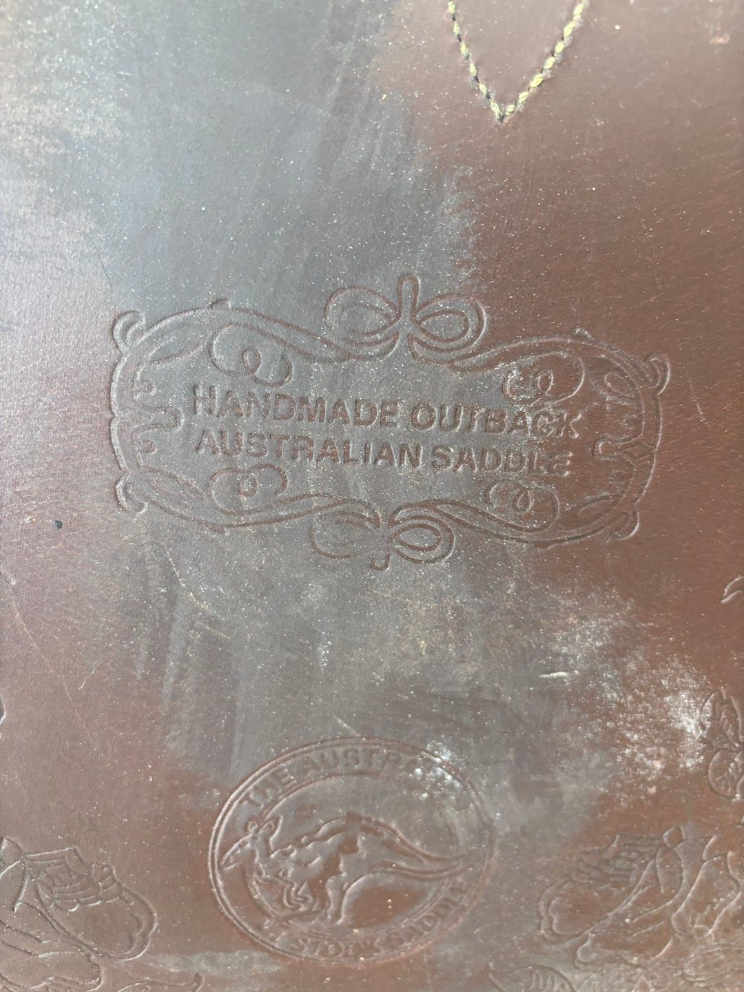 Selle australienne, média 3