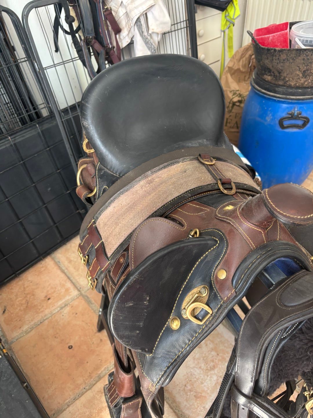 Selle australienne, média 4